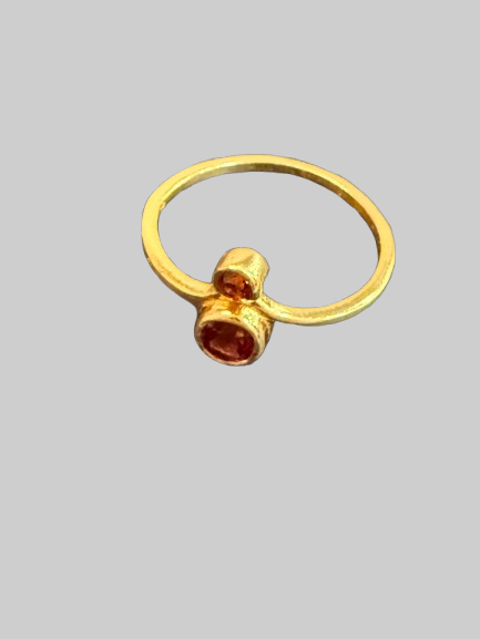 Minimalist Dual Stone Ring