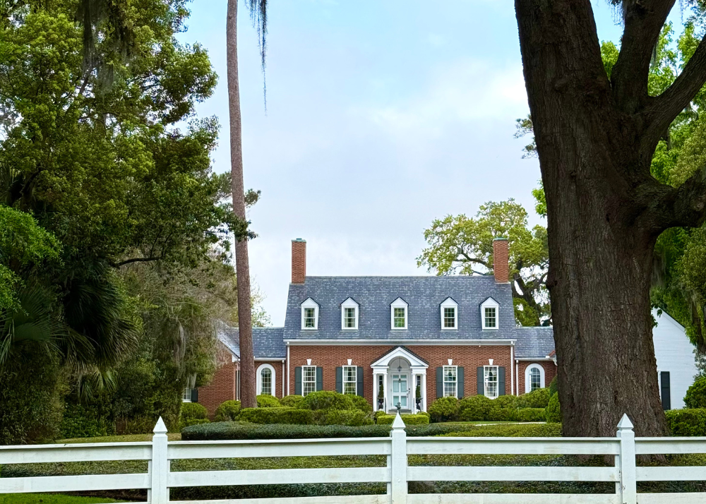 The Neighborhood that Captured my Heart