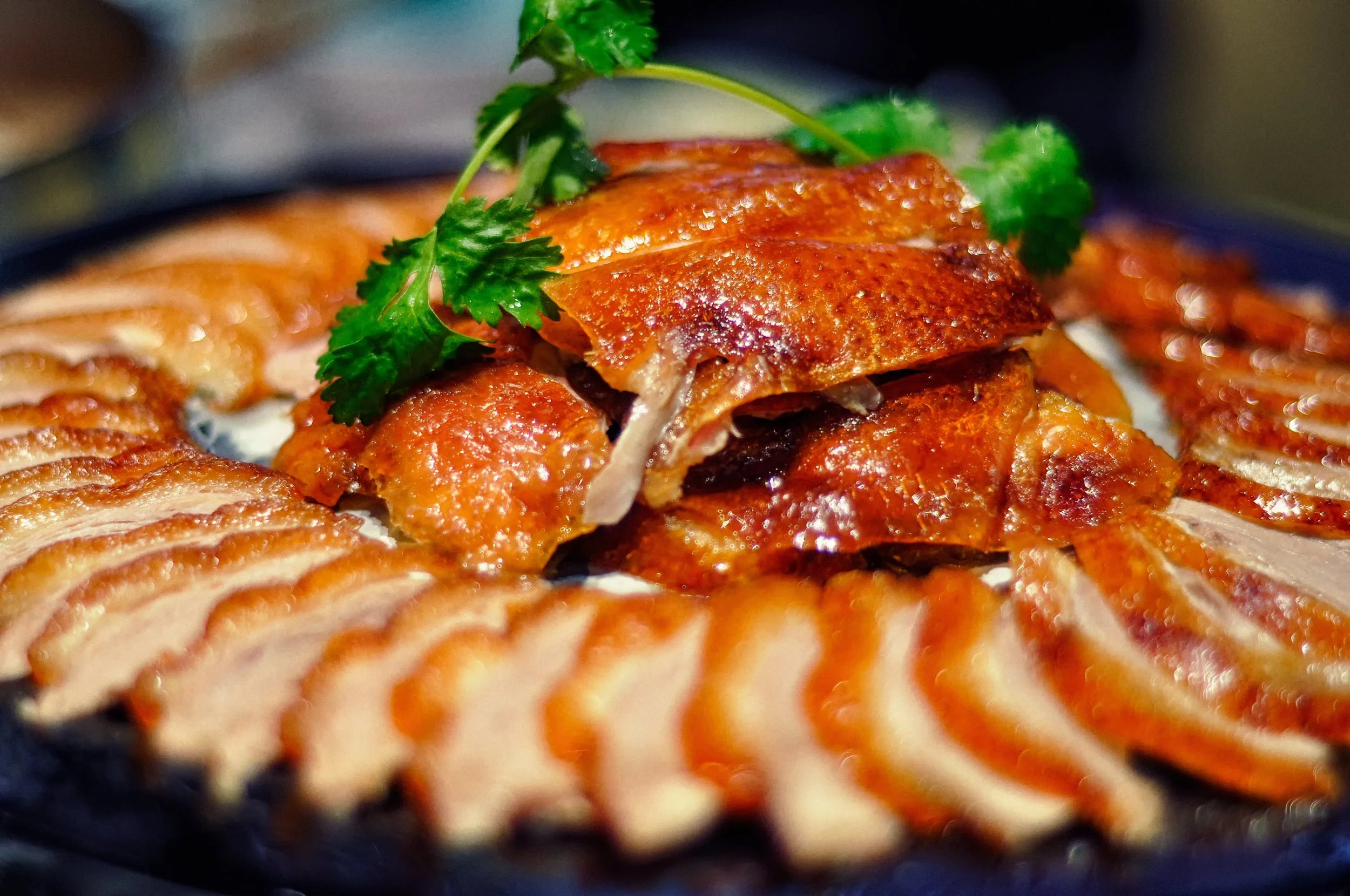 Duck