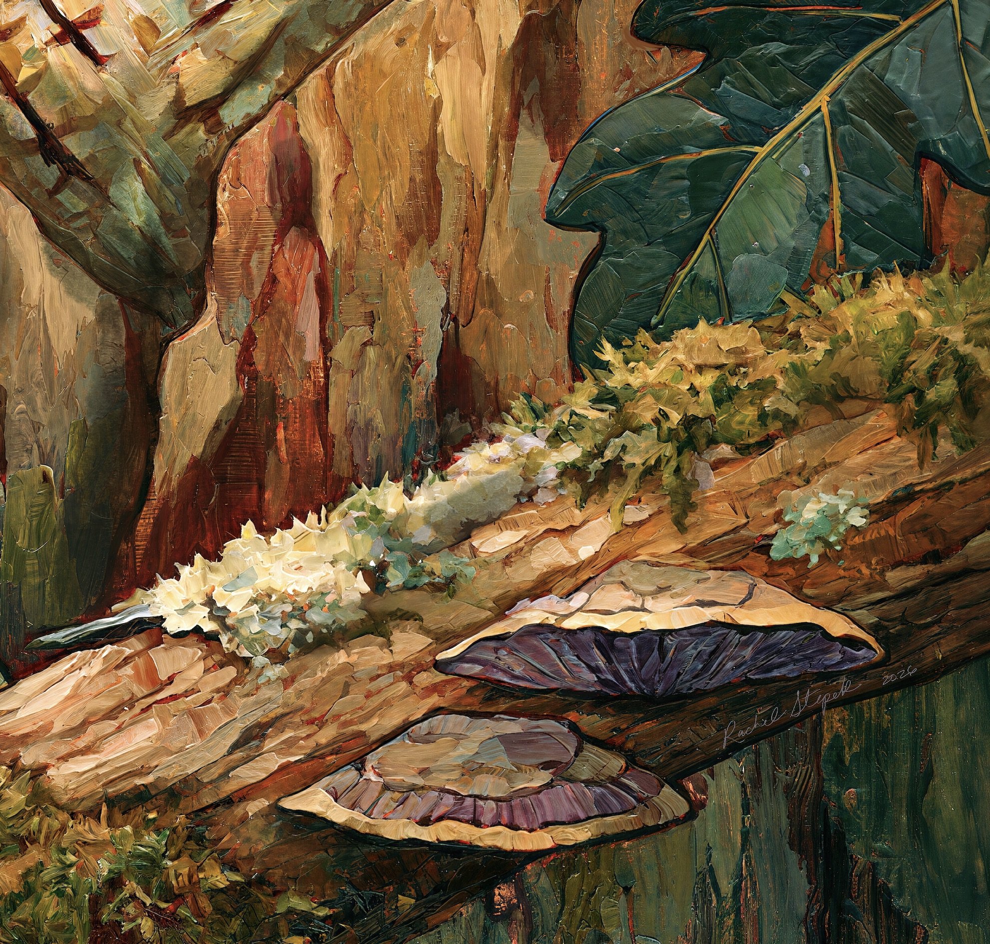 Detail of old tree bark, moss, bracket fungi, and woodland habitat from Eastern Screech Owl