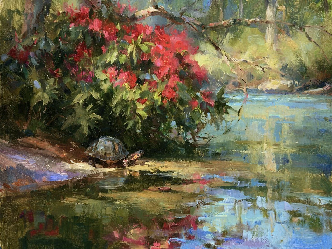 Turtle beside red azaleas and reflected water in Azalea Bend in High Water