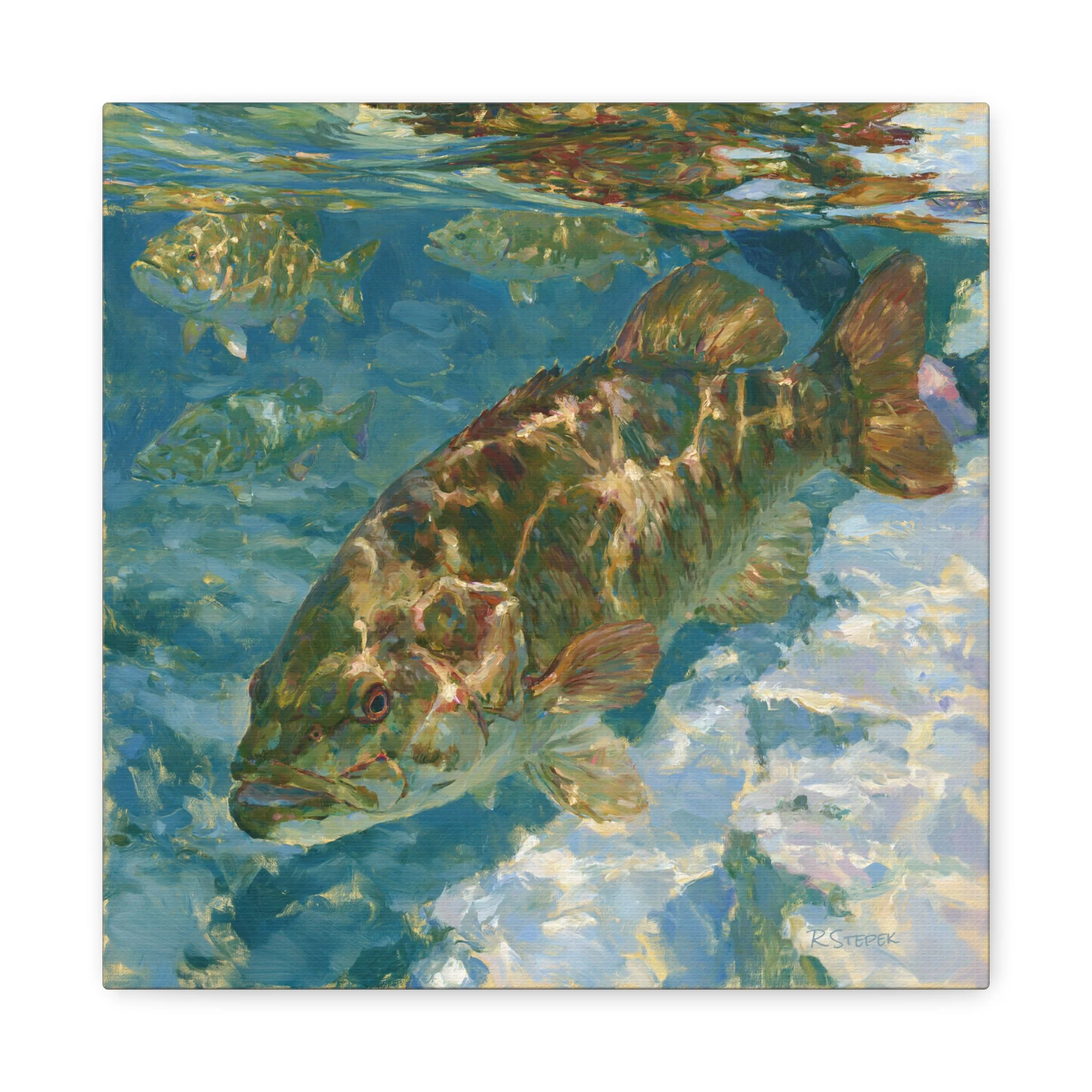 Smallmouth Bass in Clear Water