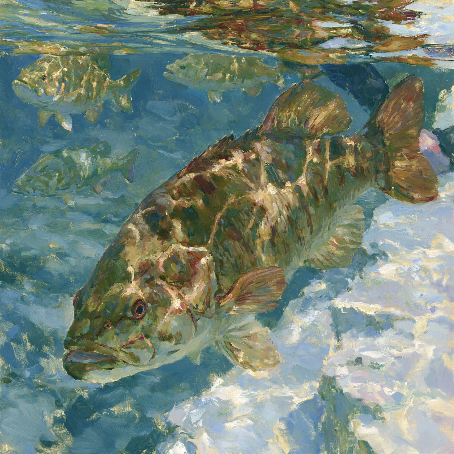 Smallmouth Bass in Clear Water square freshwater fish artwork