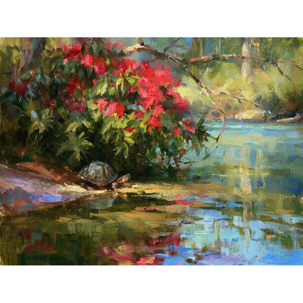 Freshwater turtle wildlife canvas art
