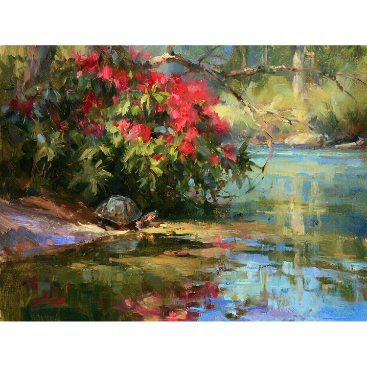 Freshwater turtle wildlife canvas art