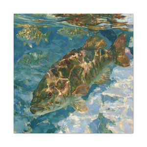 Smallmouth Bass in Clear Water gallery-wrapped Canvas product view.