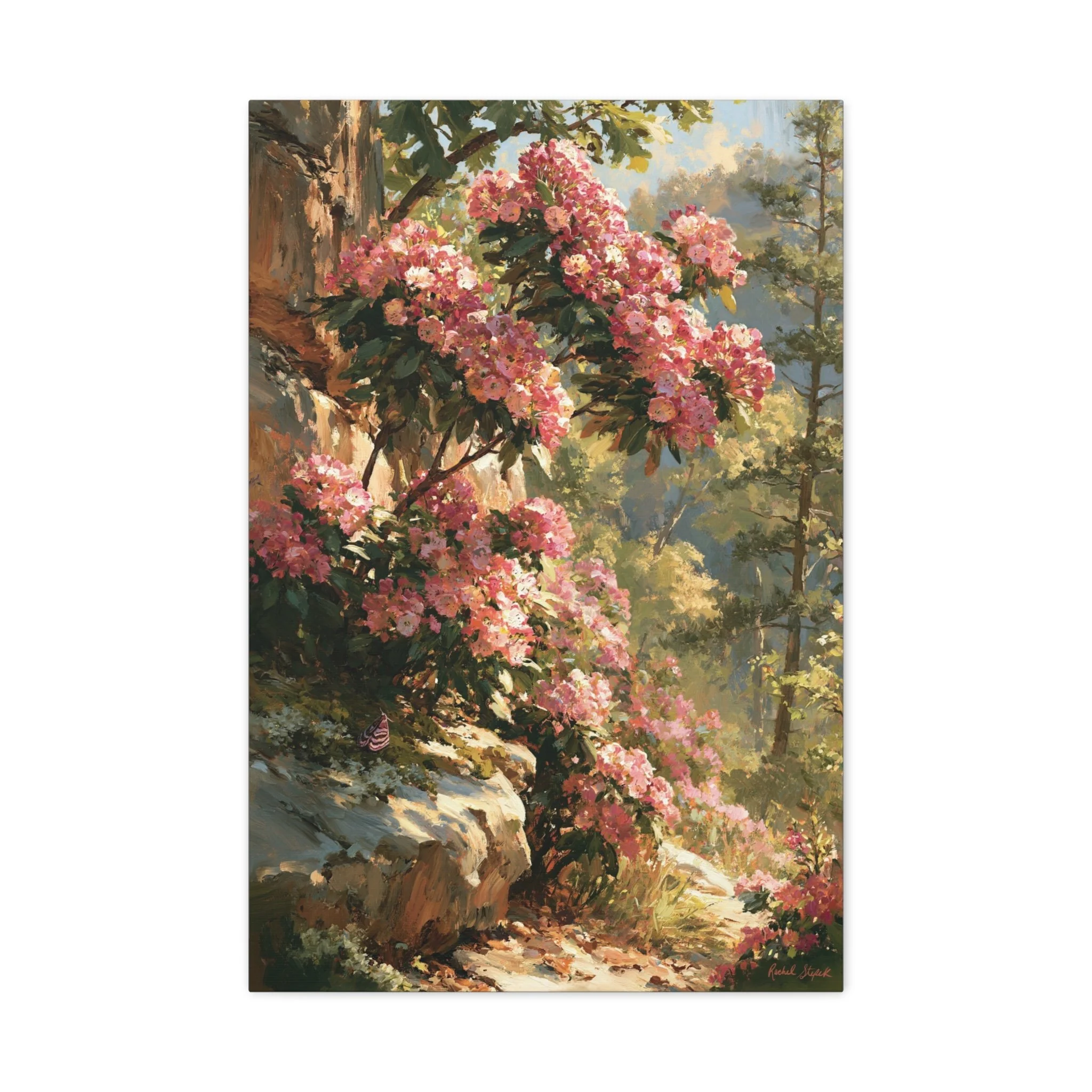 Mountain Laurel on Sandstone Ridge canvas print with pink native mountain laurel blooms, warm sandstone, and Appalachian ridge light