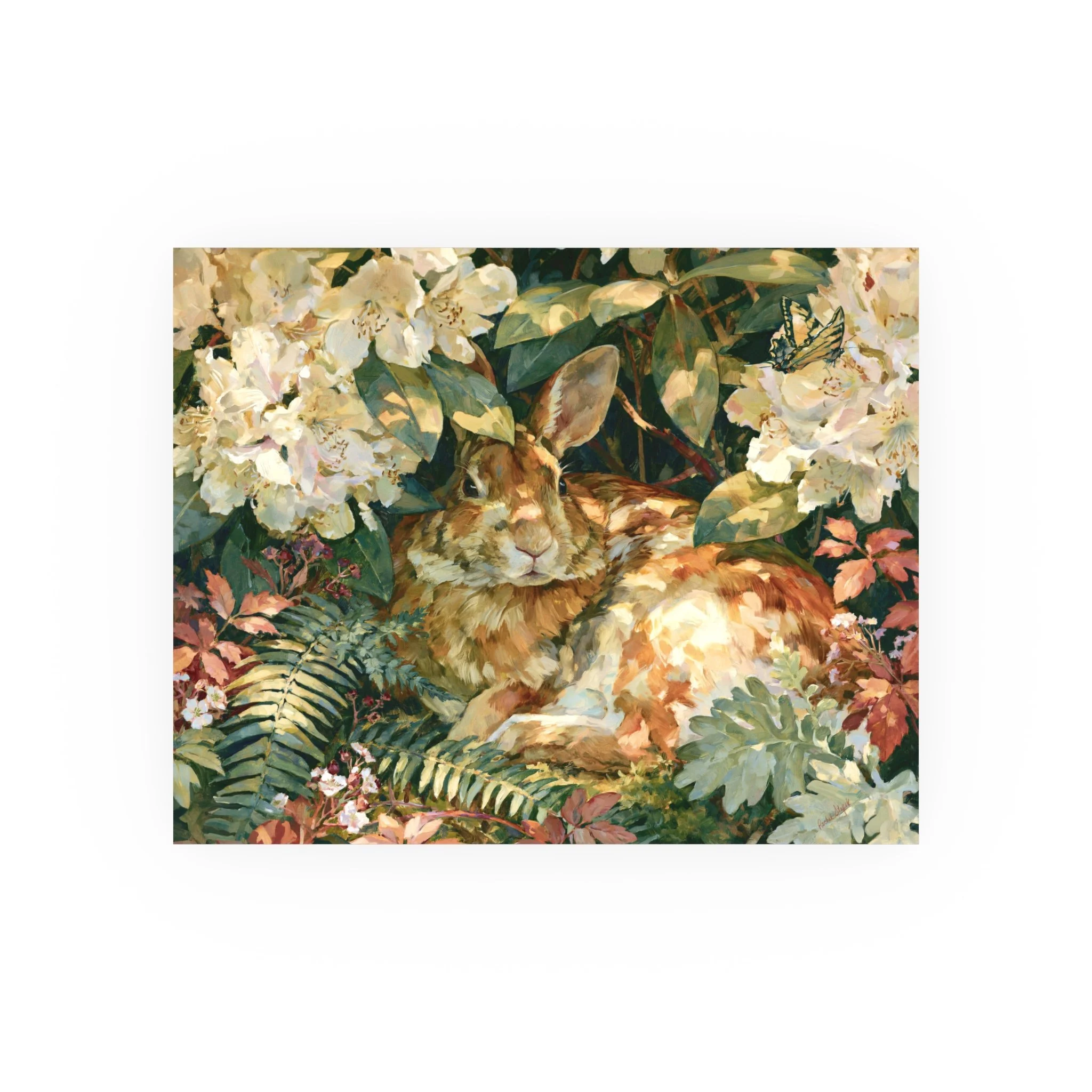 Rabbit in the Rhododendron 10 x 8 unframed art print with an Eastern cottontail beneath pale blooms and ferns