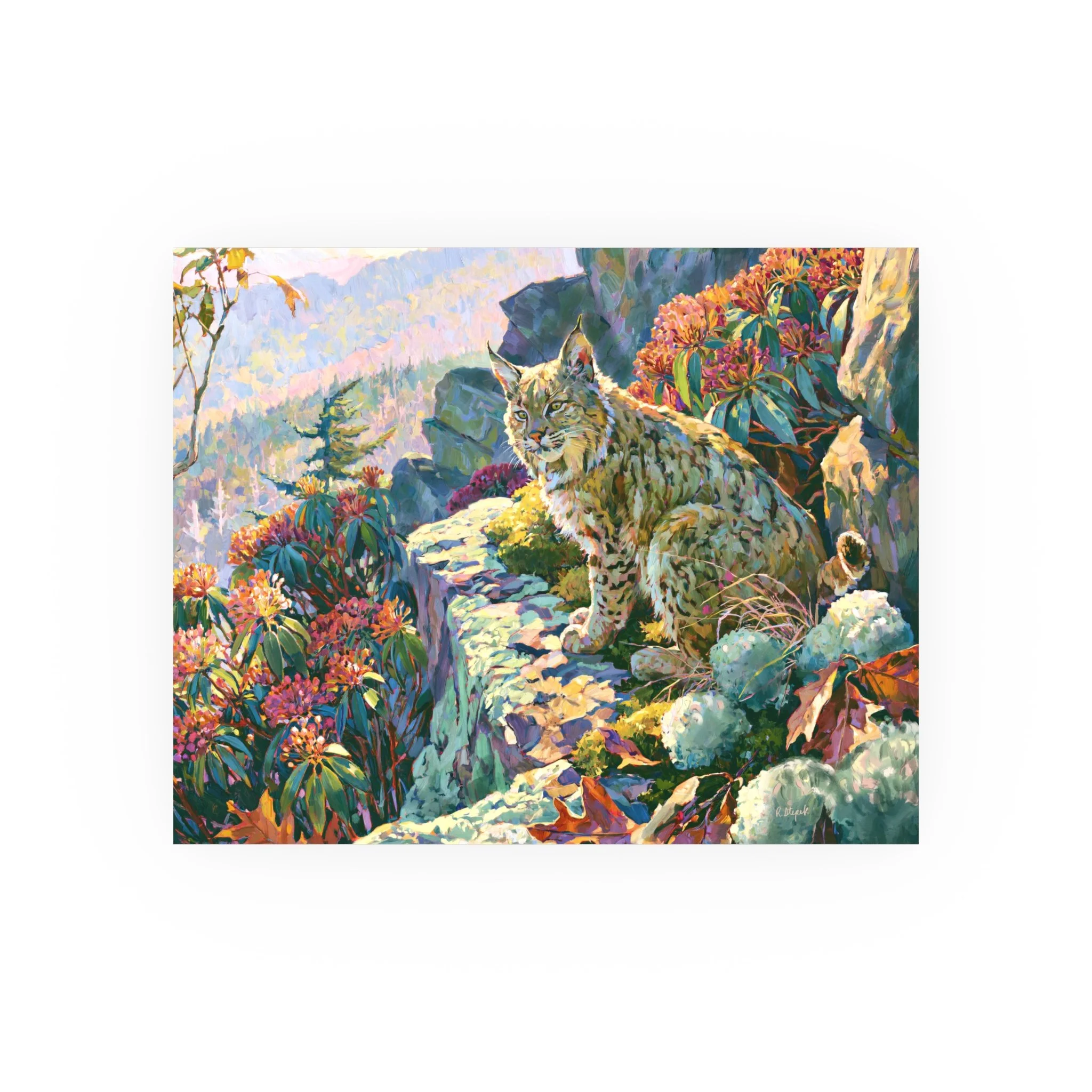 Wildcat Over the Gorge 10 x 8 unframed bobcat art print with mountain laurel, sandstone and an Appalachian gorge