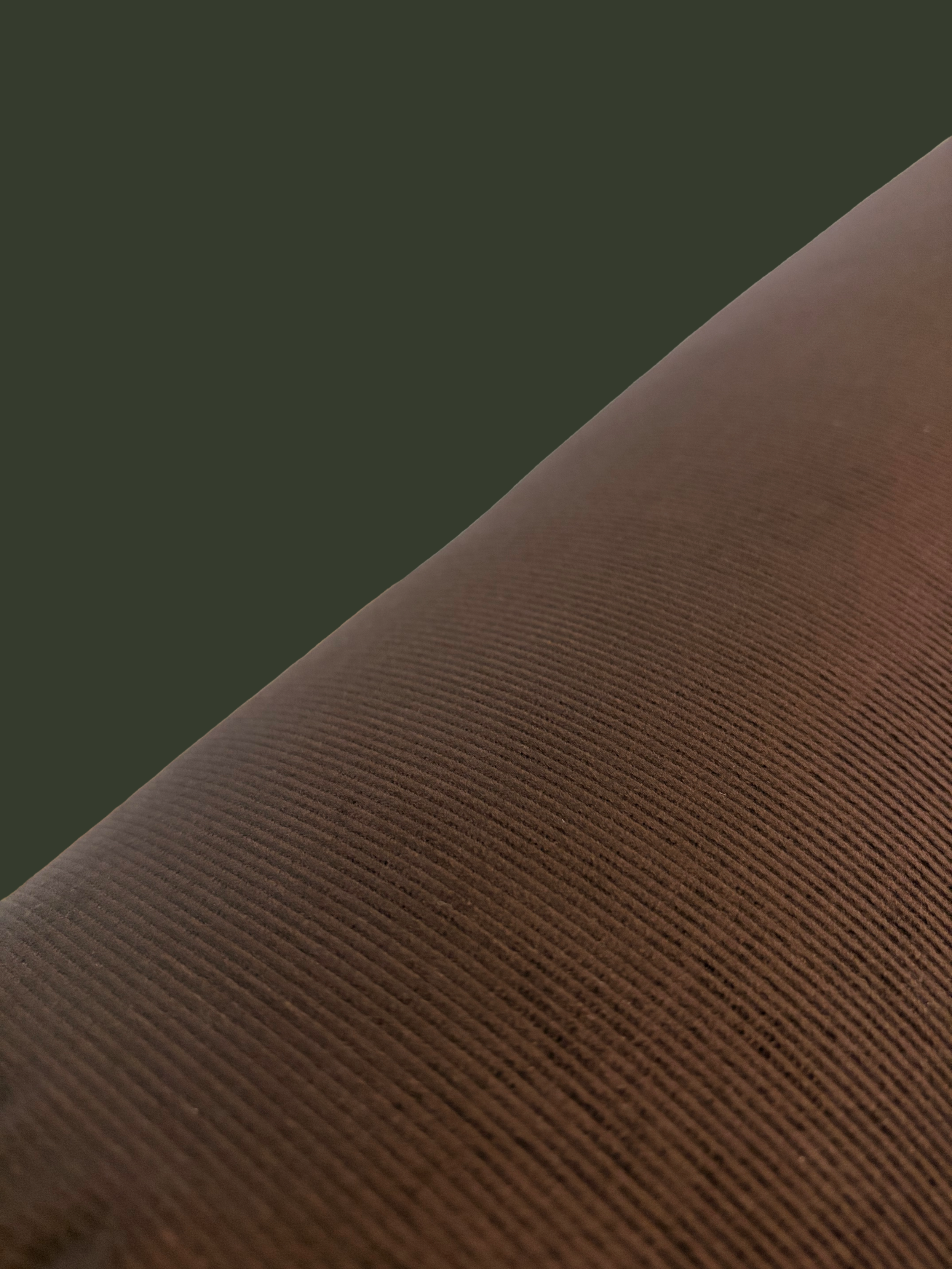 IMG_4241.PNG