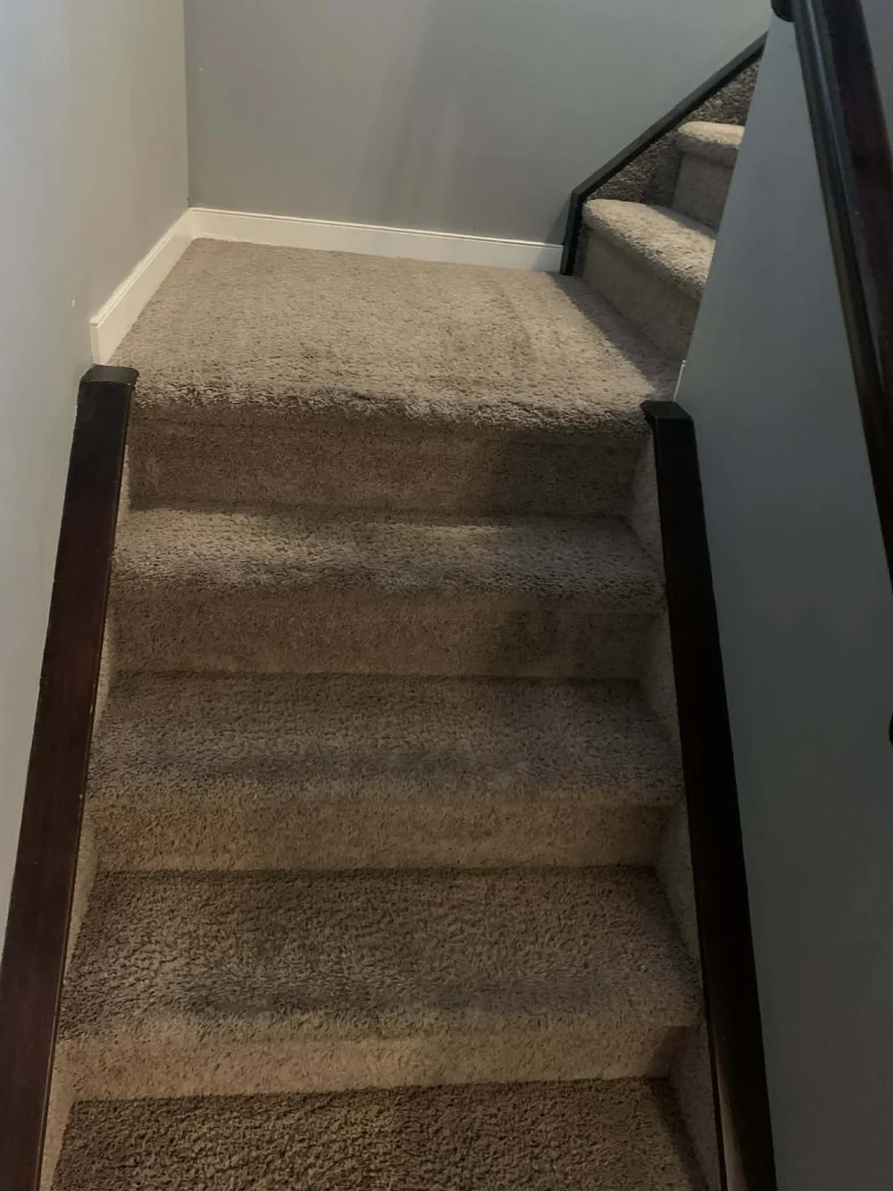Carpeted stairs after cleaning