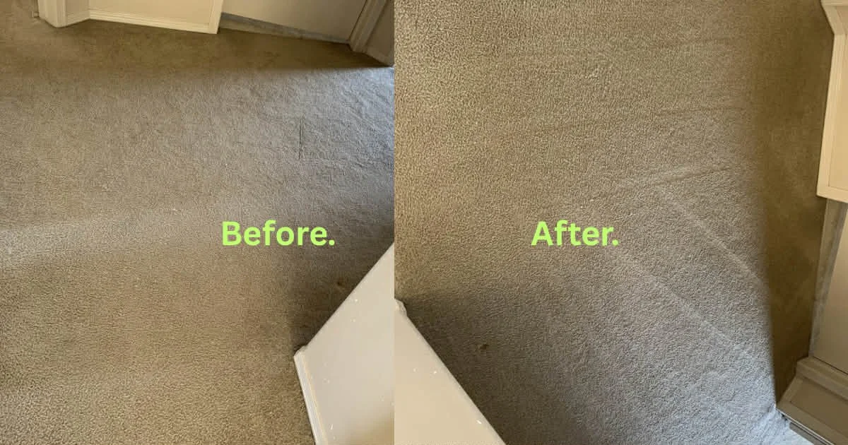 Before and after comparison of carpet cleaning results
