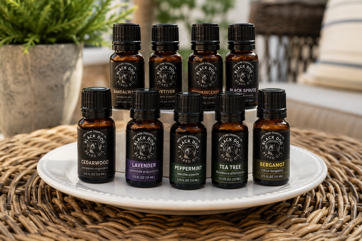 The Health Benefits of Essential Oils: Nature's Most Powerful Plant Extracts.