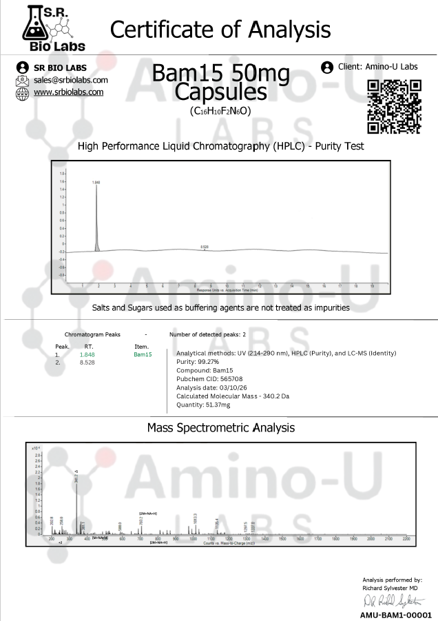 Bam 15 COA screenshot.png