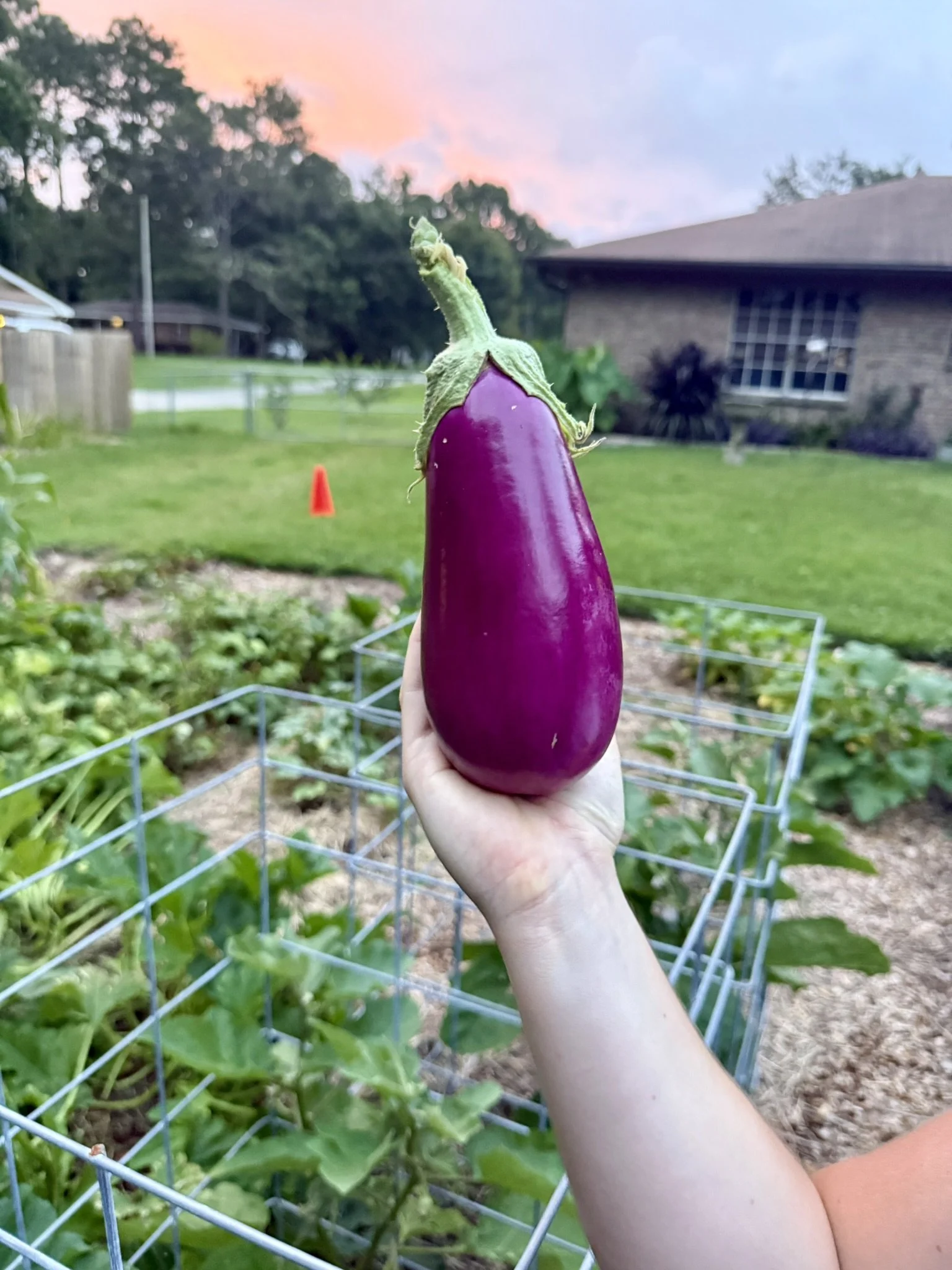2026 CW25 - An Easy Rainy Week