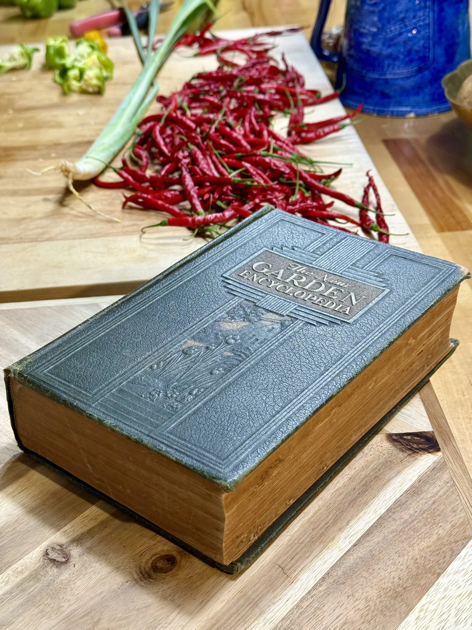 2026 CW34 - Preserving Exotic Beans and a Garden Check-In