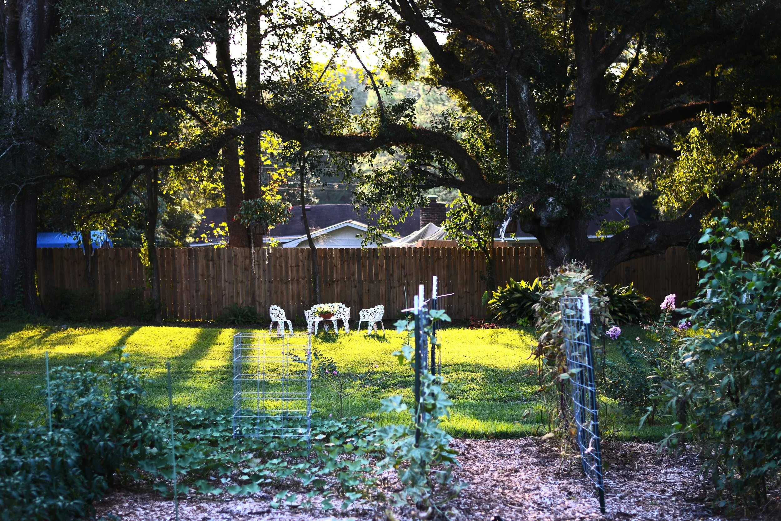 DSC_5152.JPG
