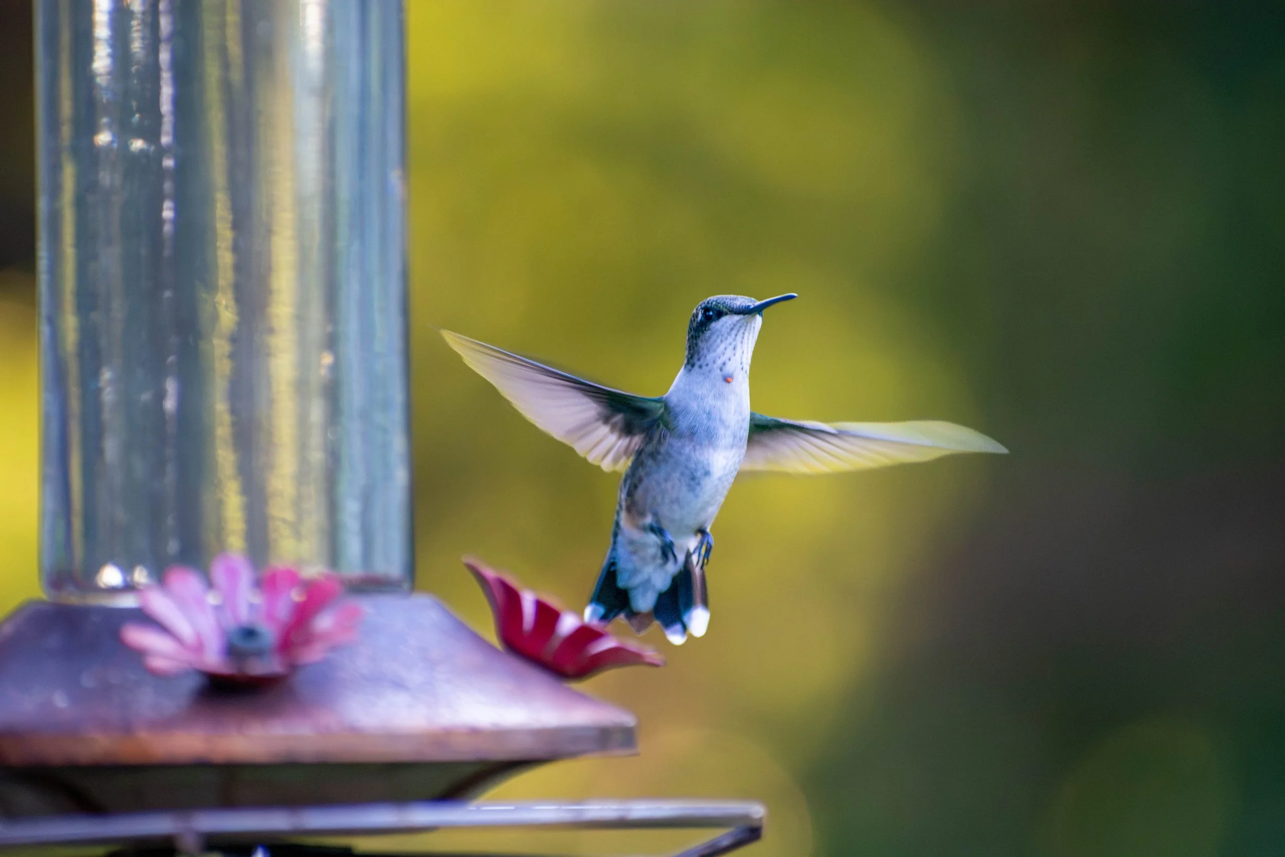 DSC_5389.jpg