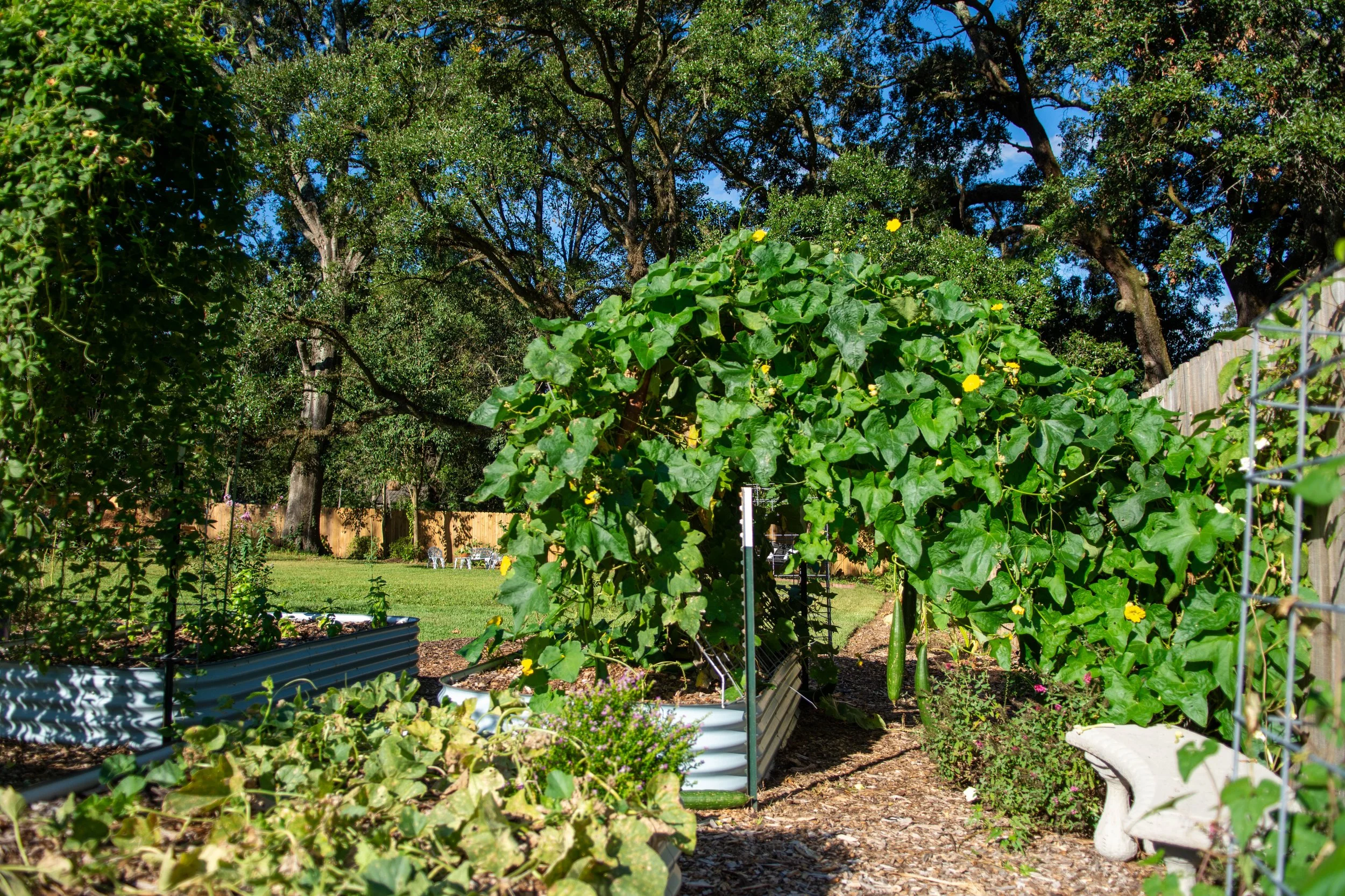 DSC_5286.jpg