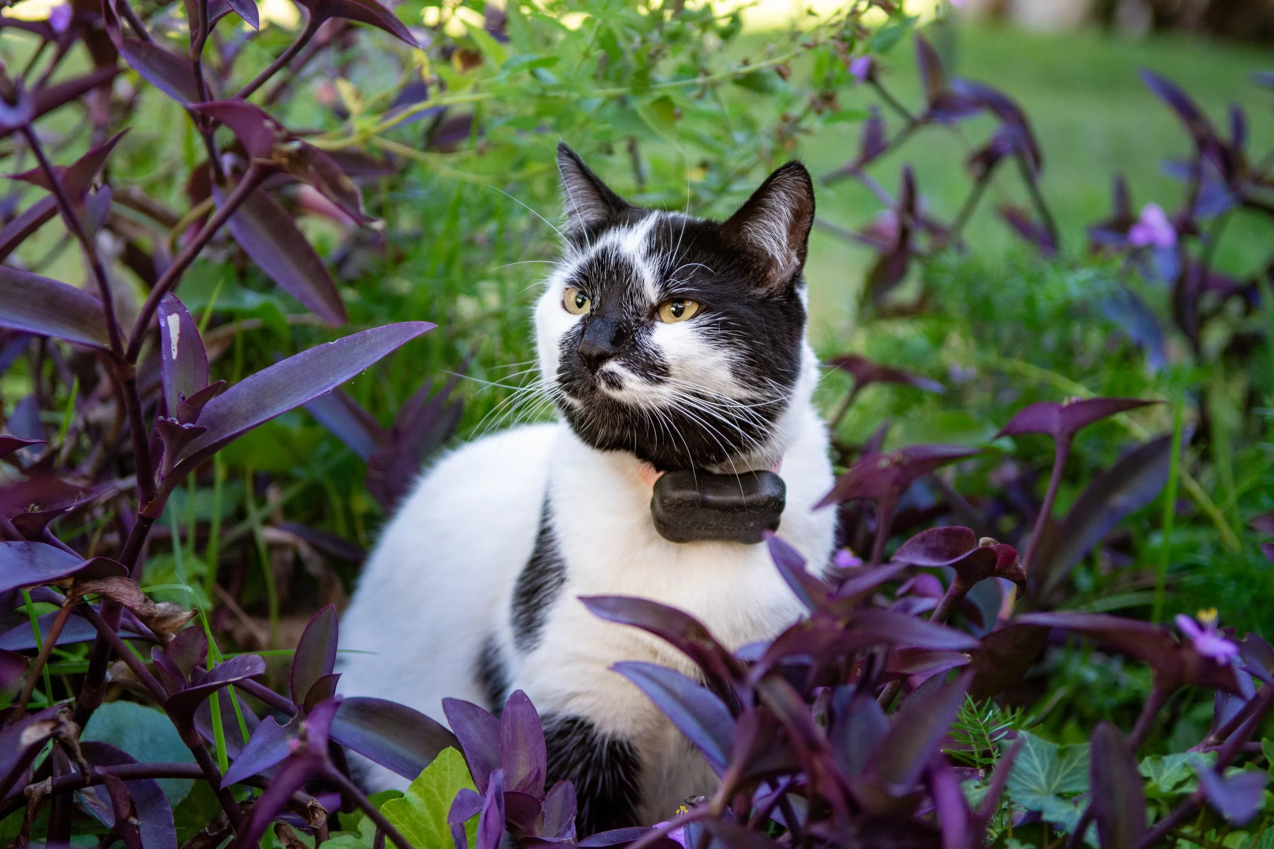DSC_5282.jpg