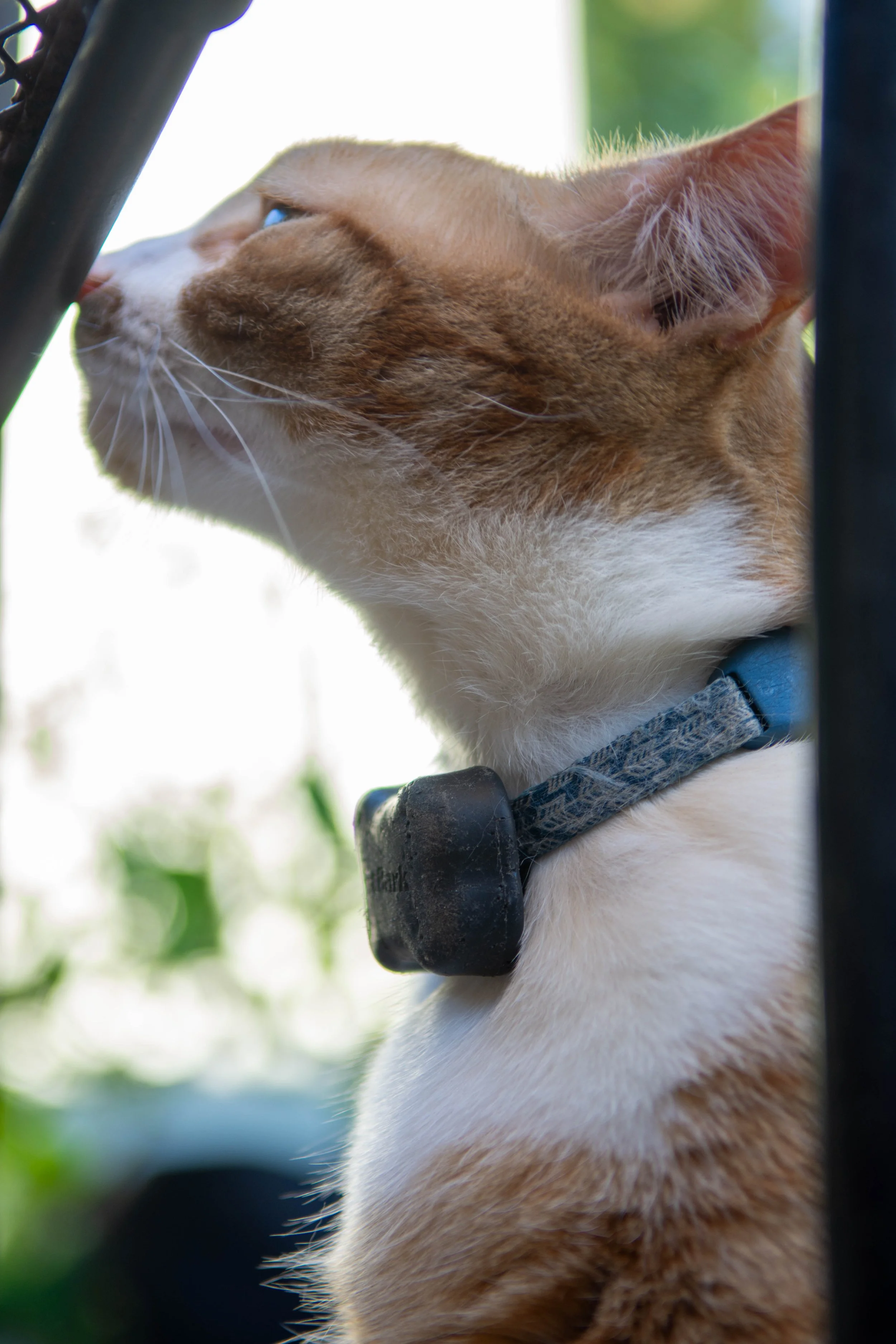 DSC_5306.jpg