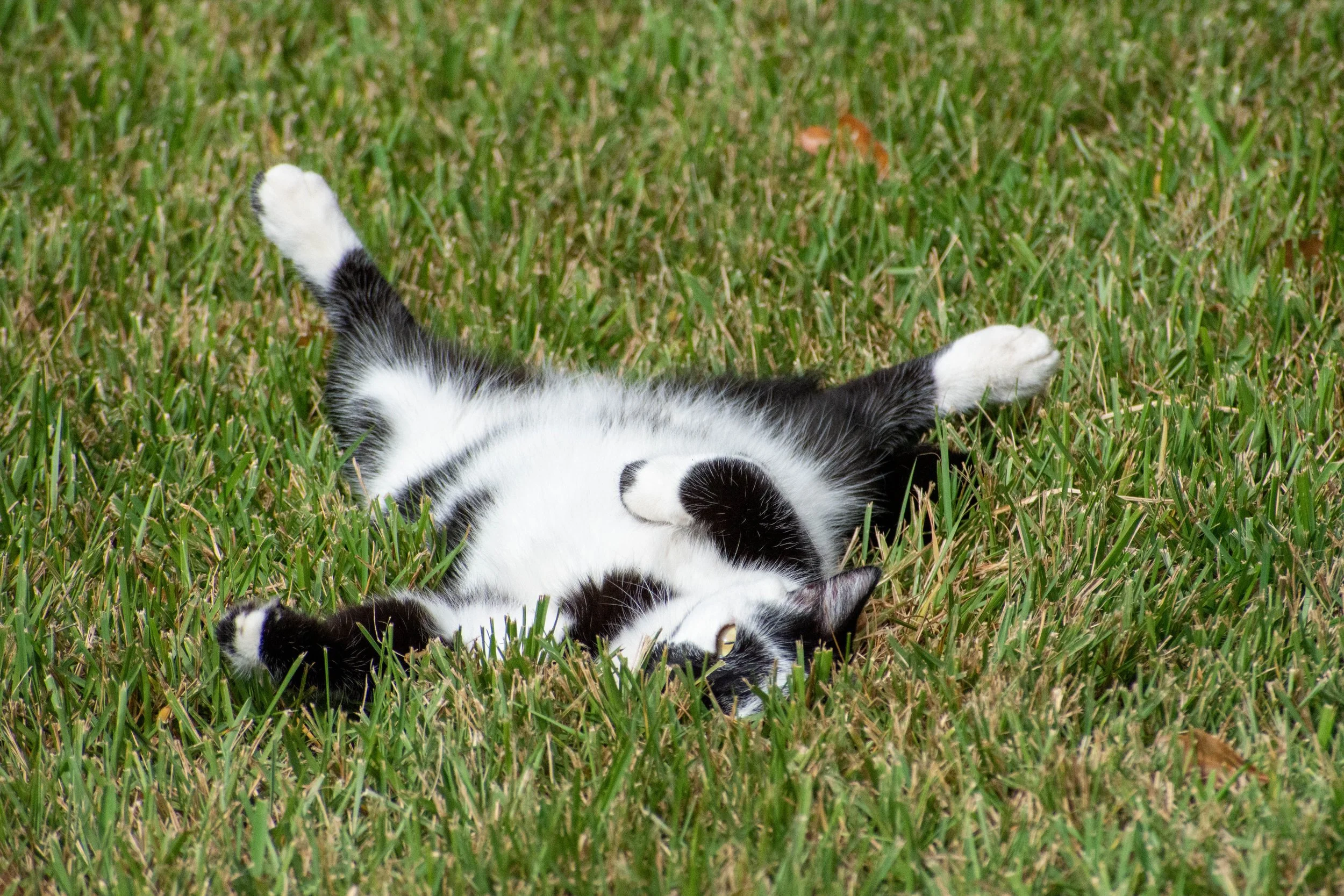 DSC_5590.jpg