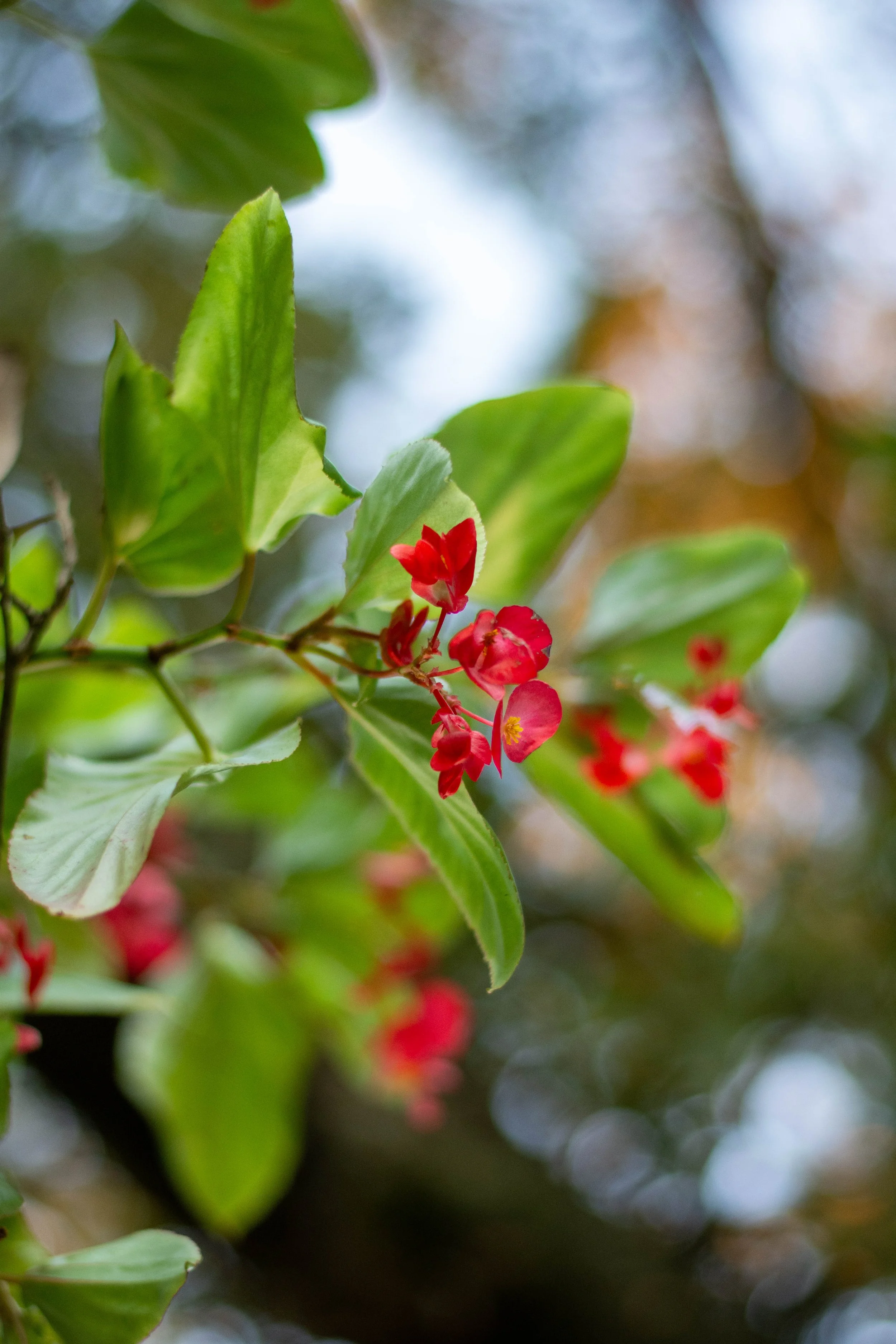 DSC_5709.jpg