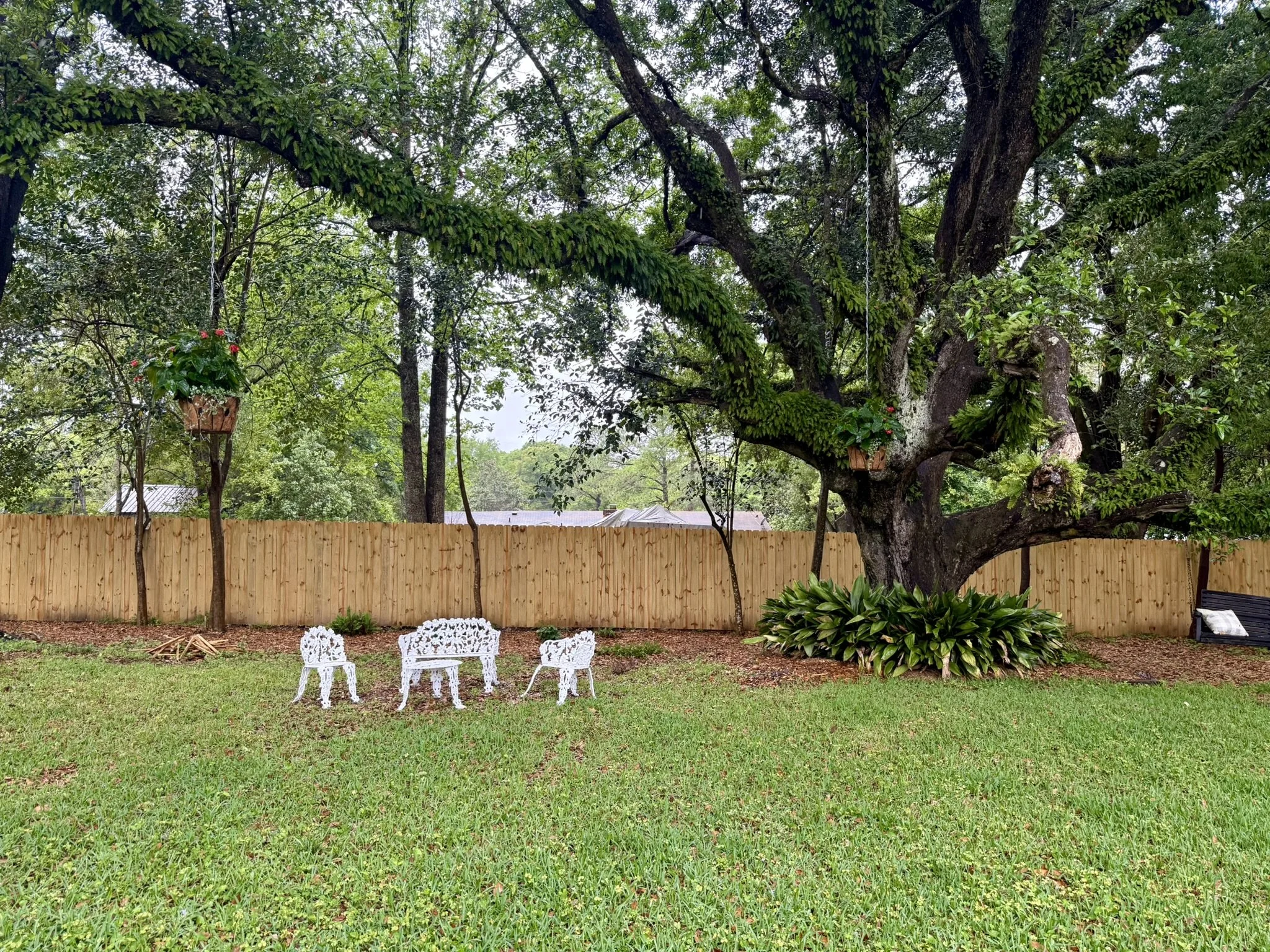 Backyard scene with a large Live Oak tree, a wooden fence, magical hanging baskets, and white cast iron furniture.
