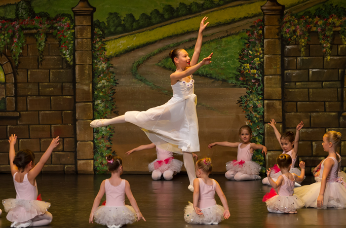 cop34.webp