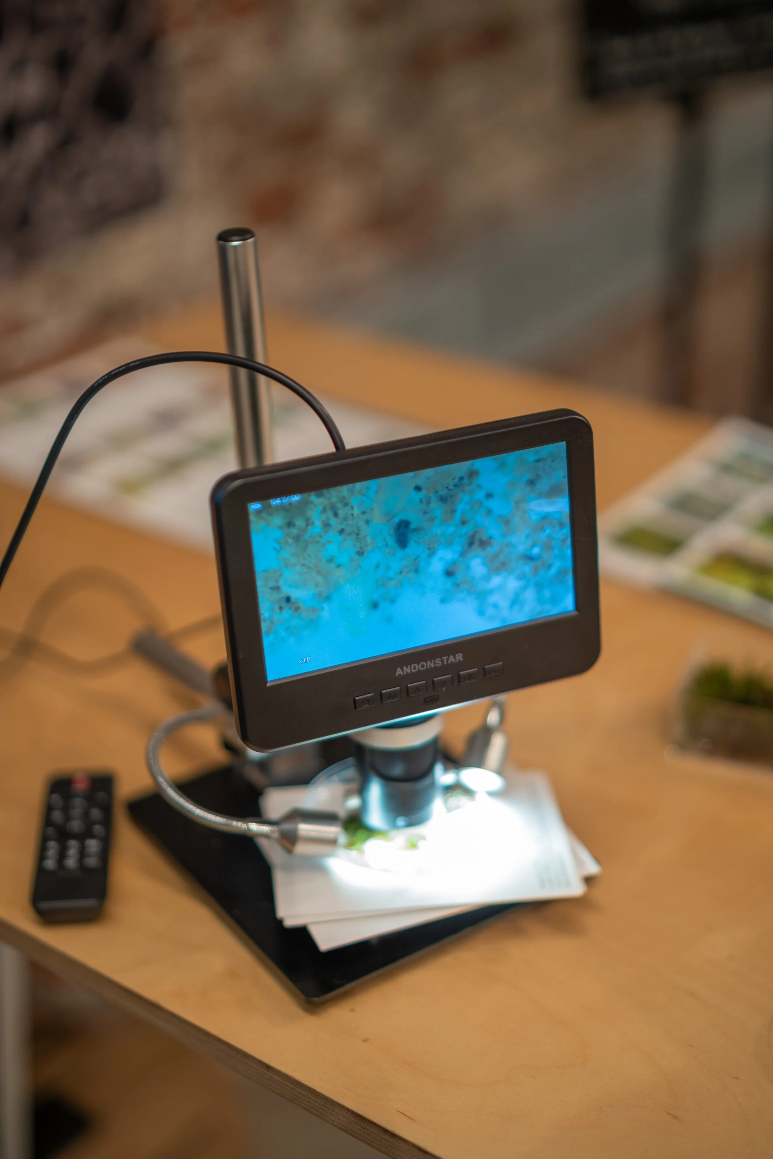 JimW-Art & Energy PV 0115.jpg