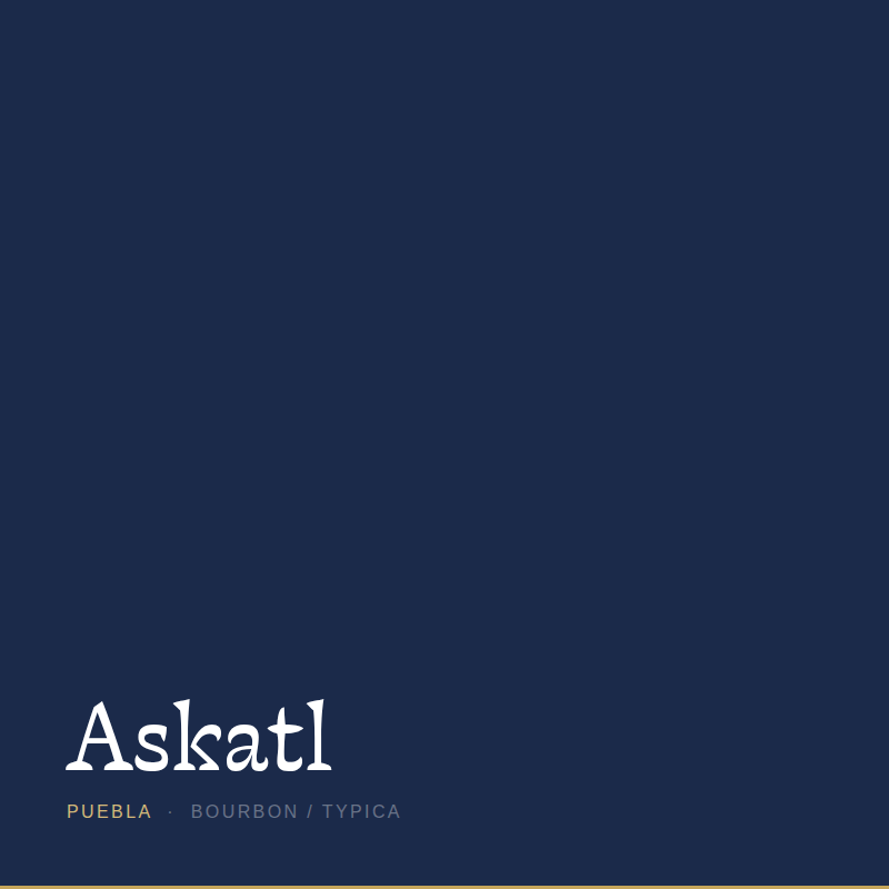 Askatl 