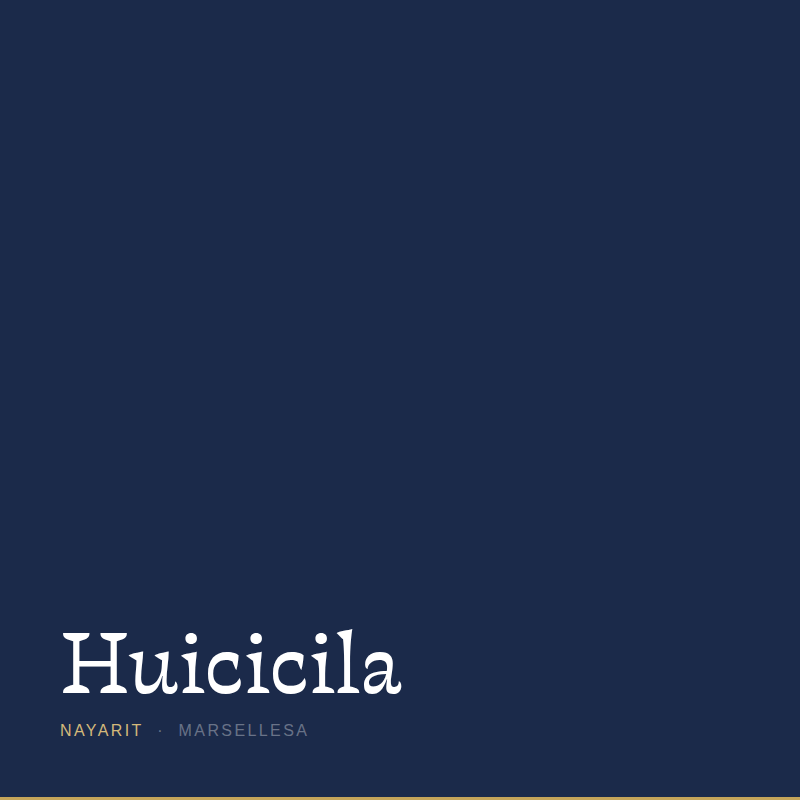 Huicicila