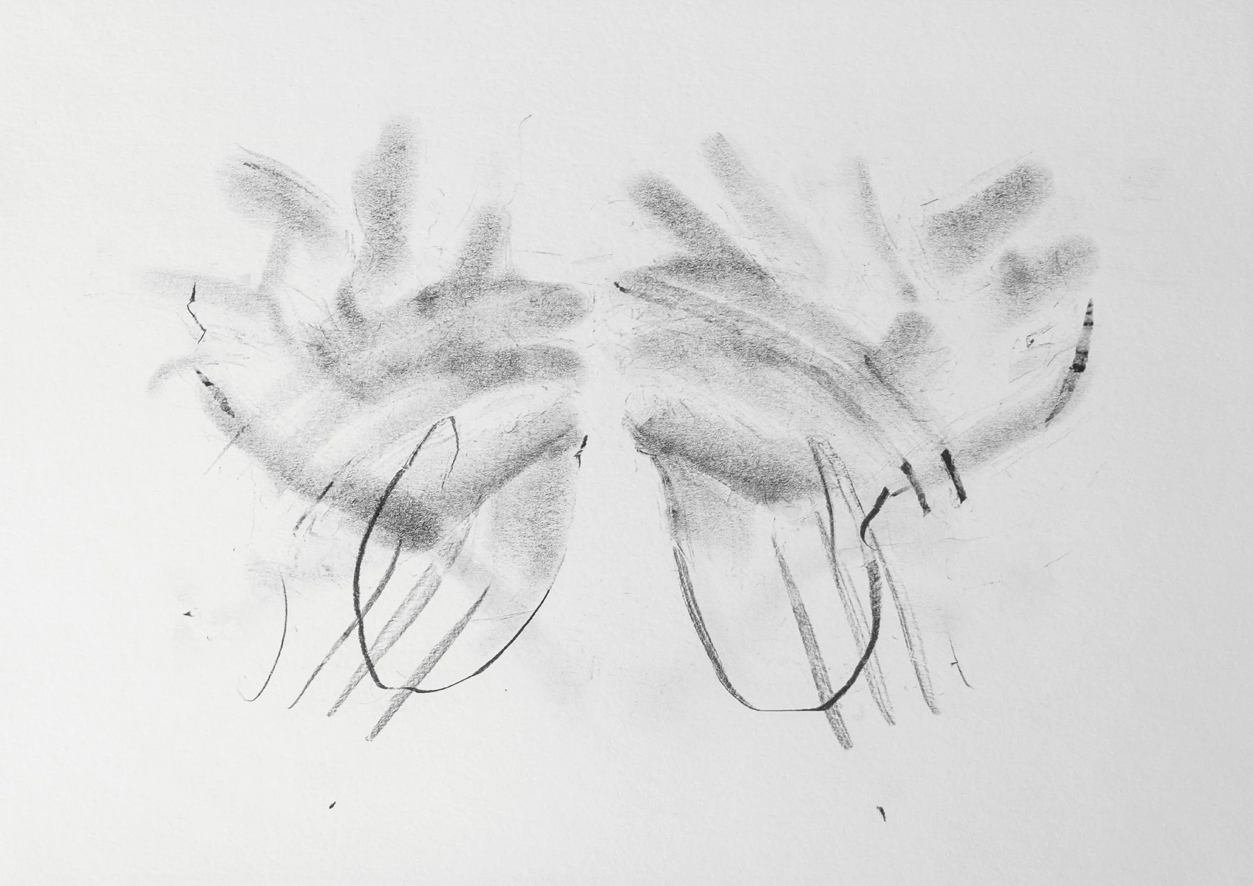 Oreja, lengua, mano III - VALERIA ROVATTI