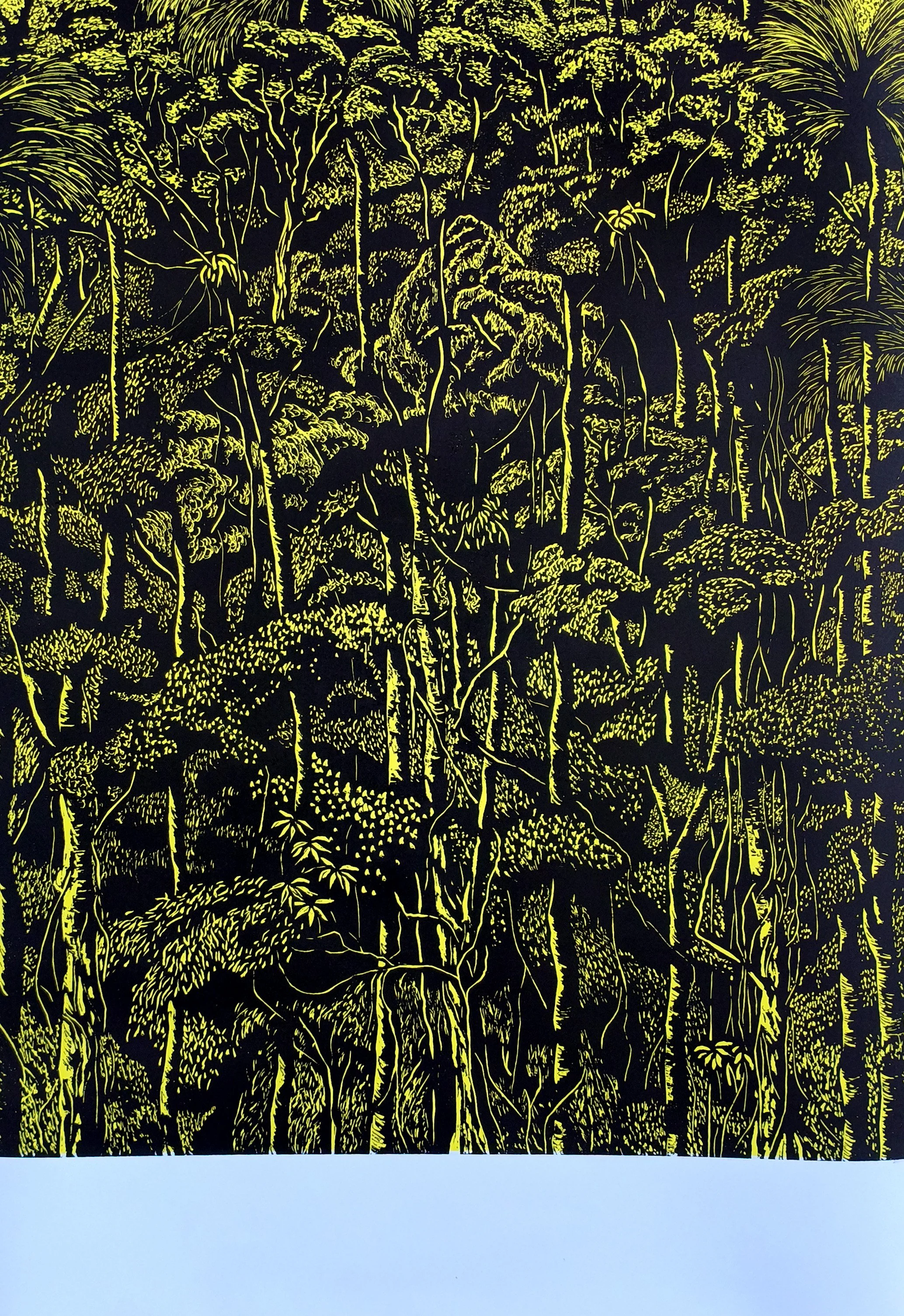 Espesuras - HERNÁN BORCHES