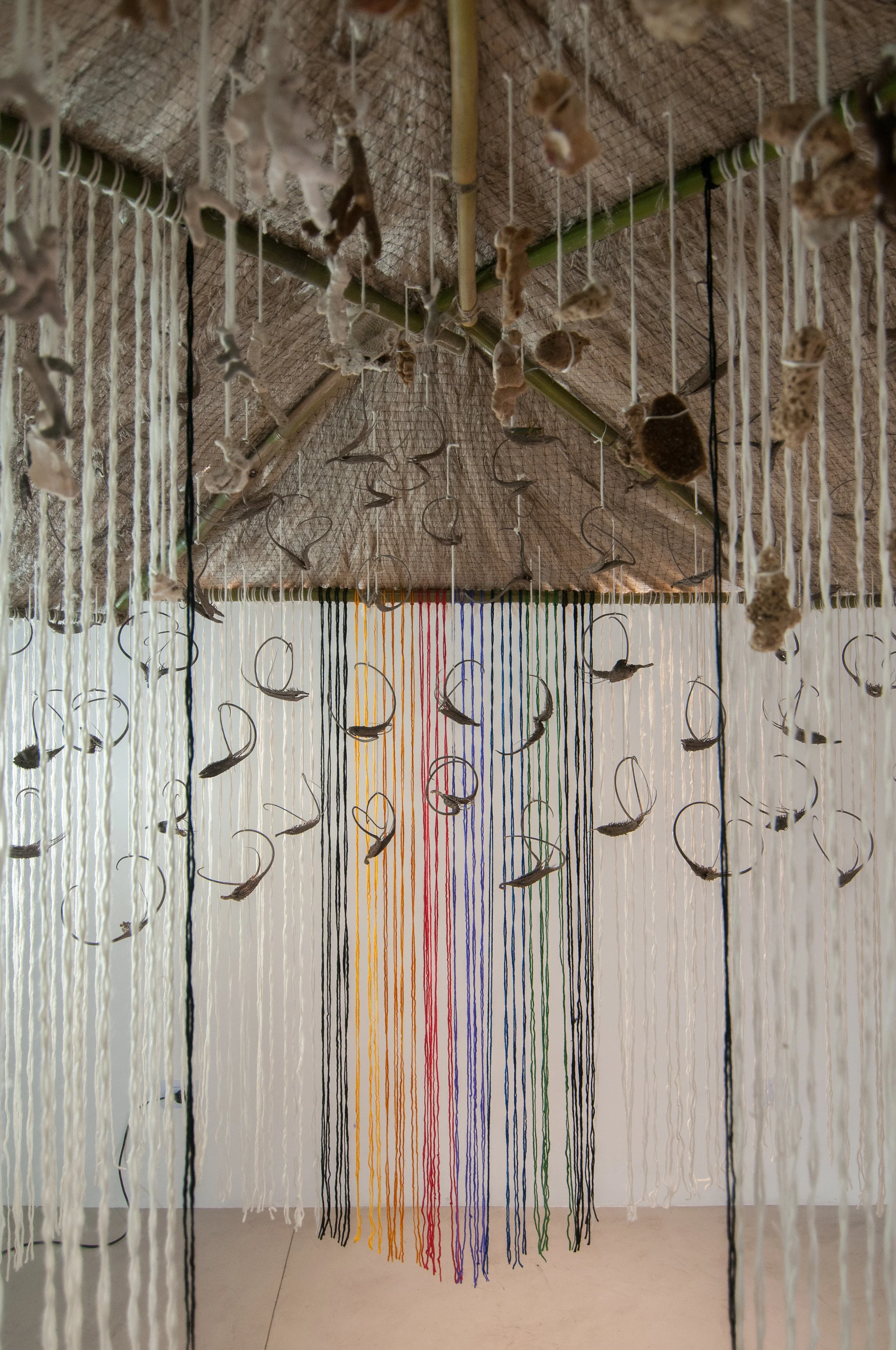 S_SEH5723.jpg