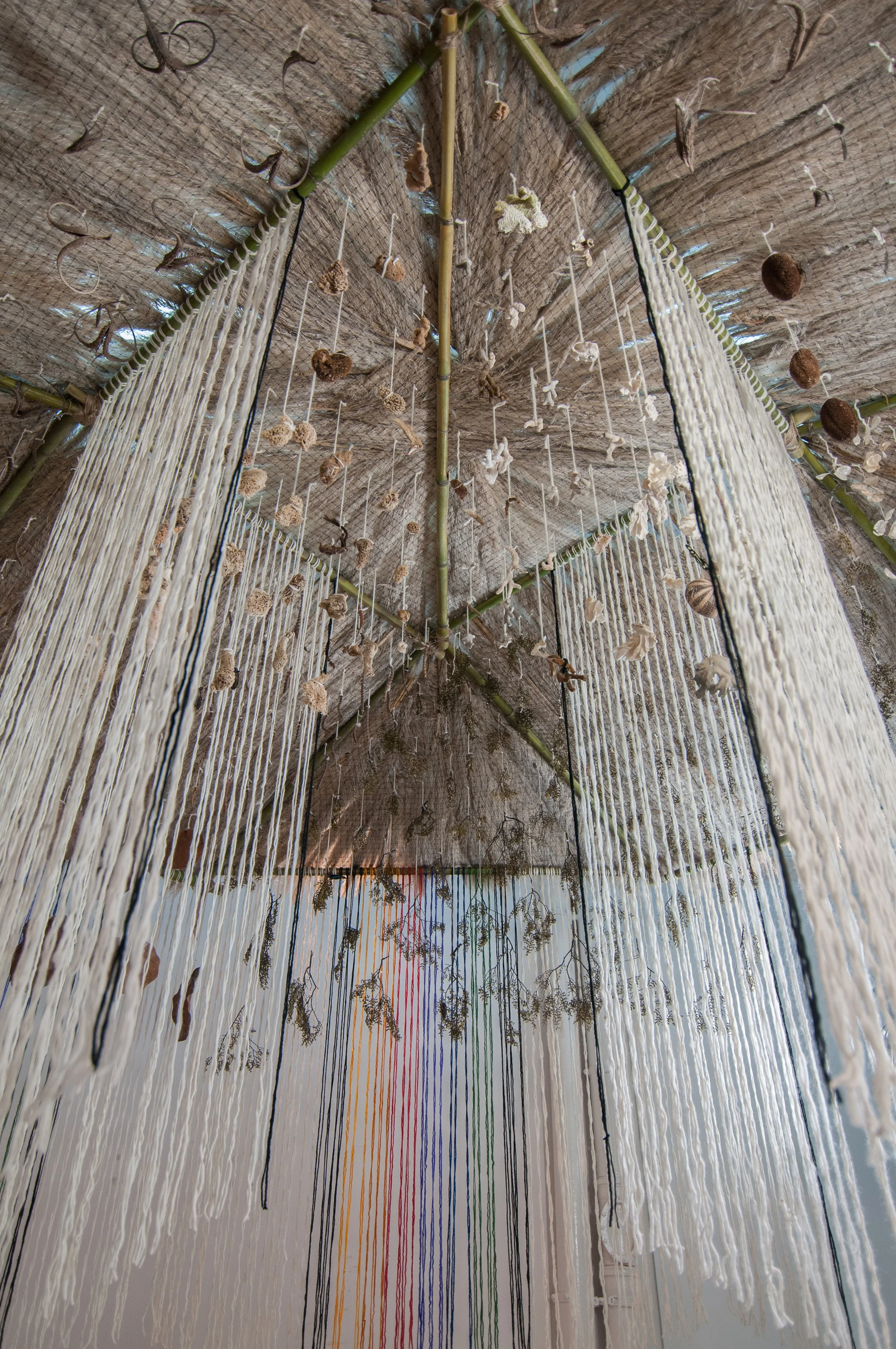 S_SEH5876.jpg