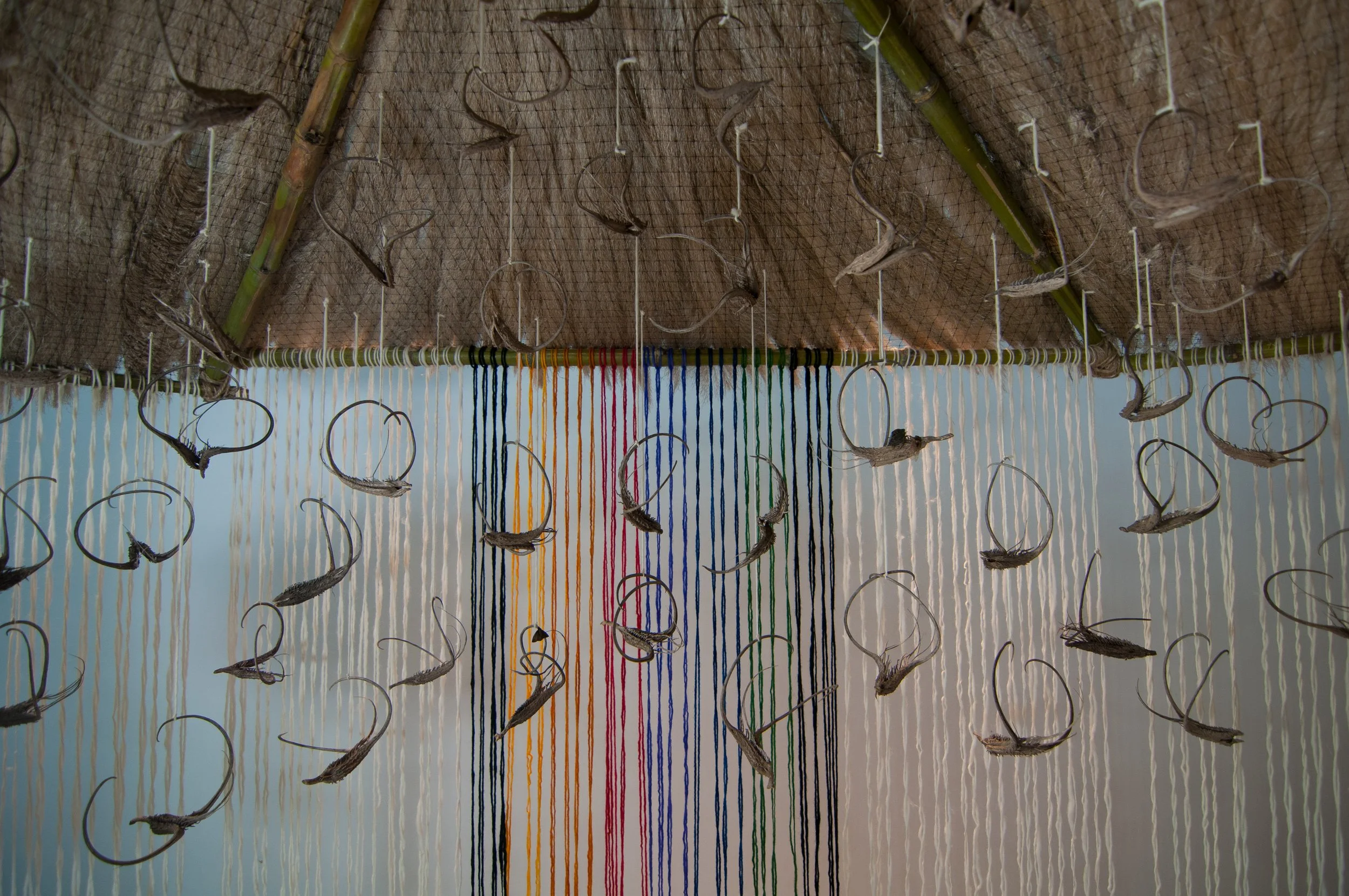 S_SEH5894.jpg