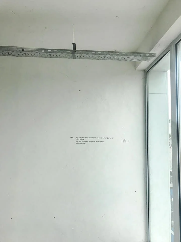 47574809_1921556277880341_6813708587081138176_n.jpg