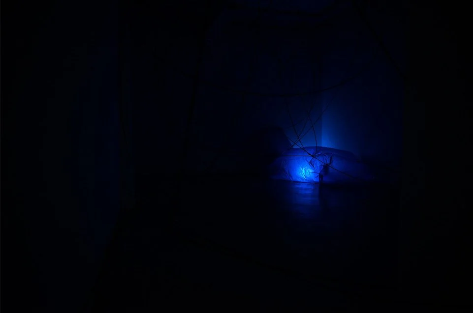 MED_2636-web.jpg