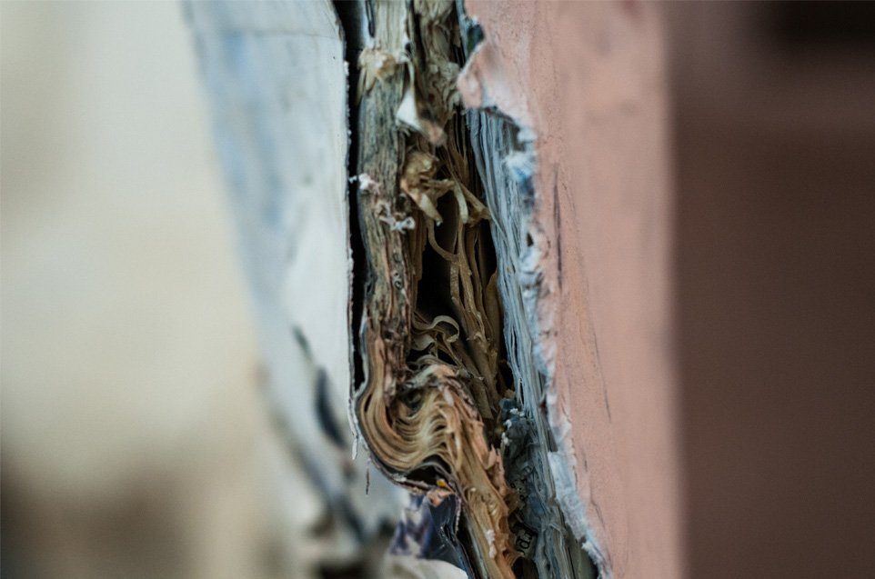 S_SEH0984-web.jpg