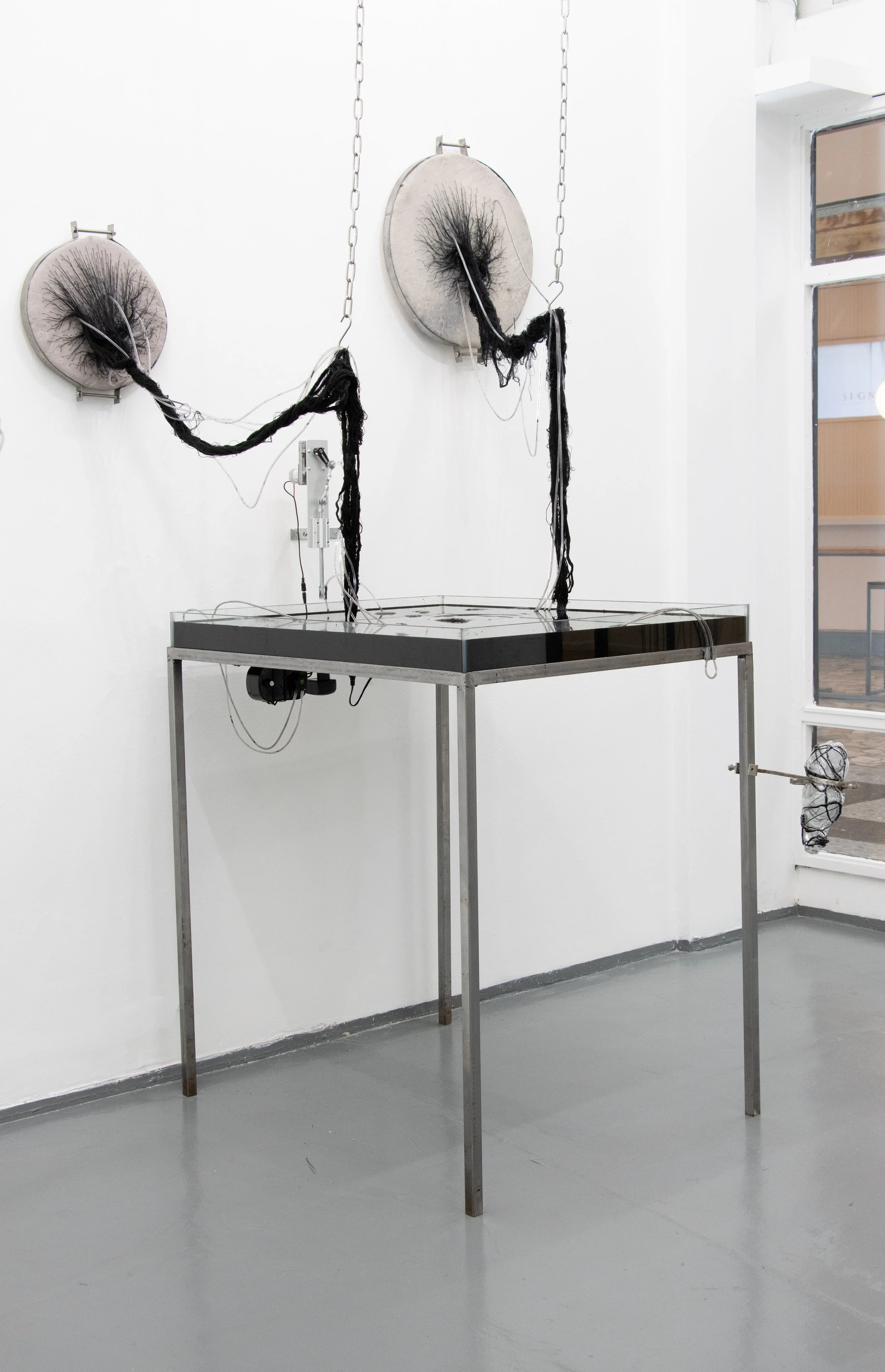 COAGVLA Installation.jpg