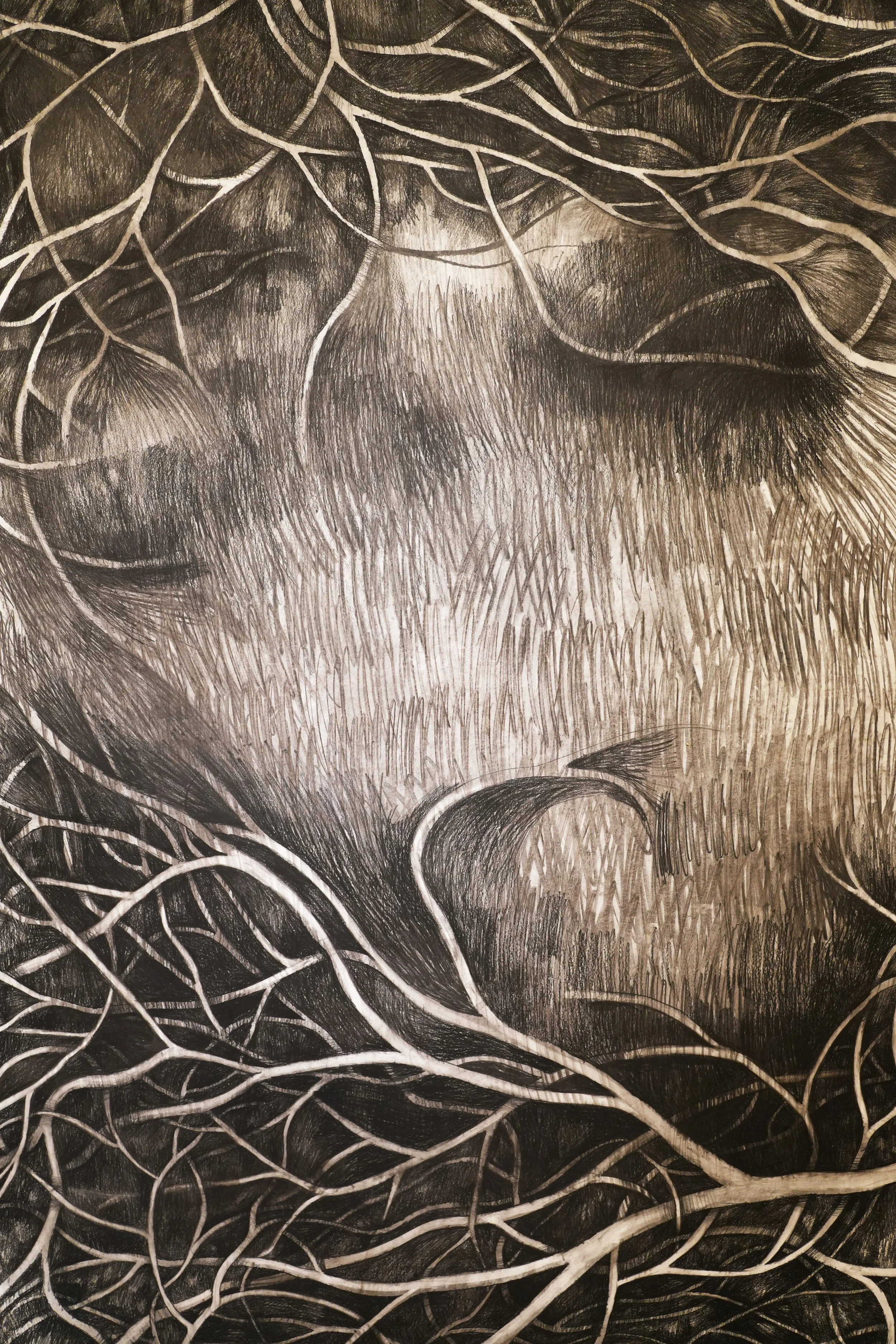 el gigante (detalle 1) - Paloma Duran Carbone.jpg