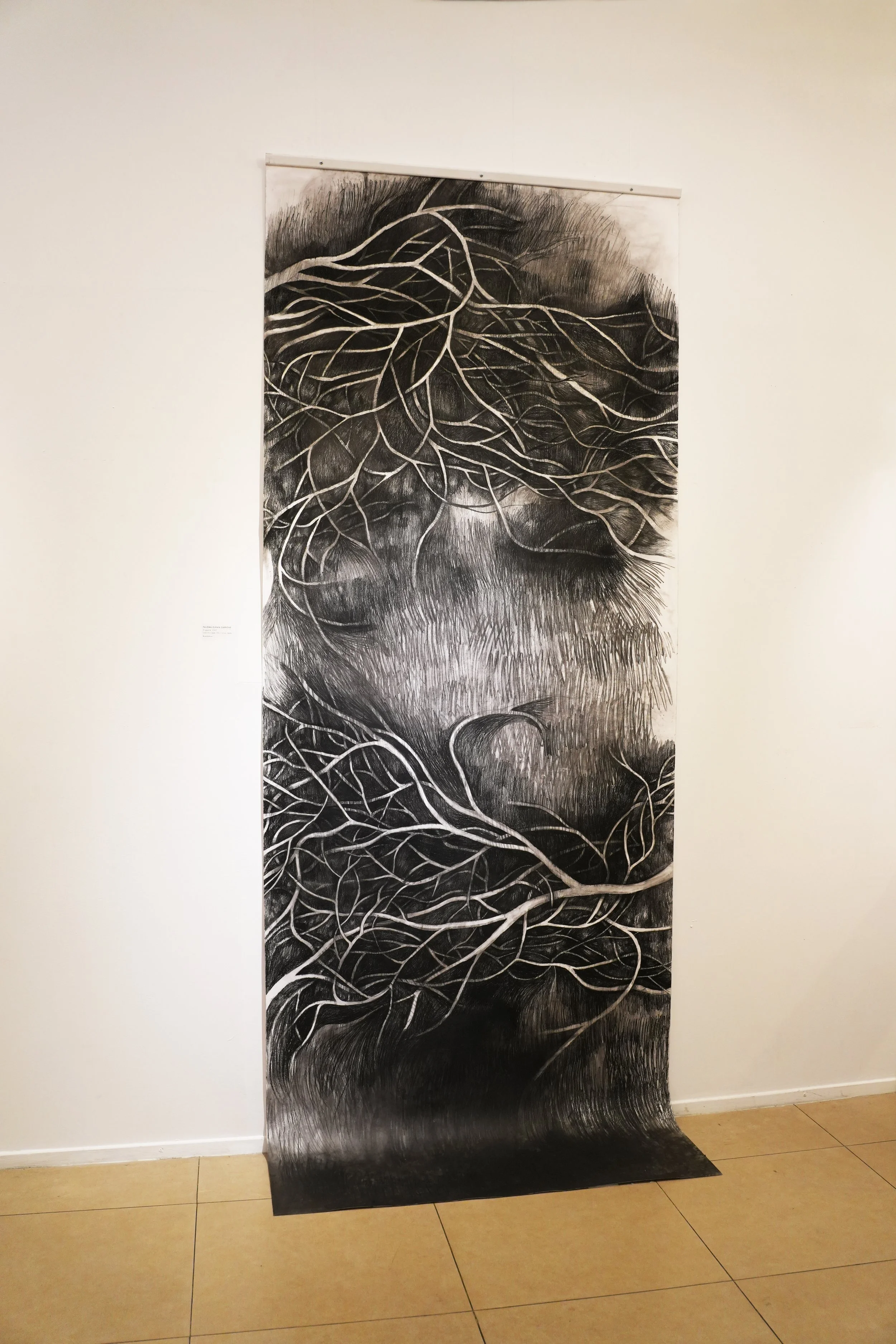 El gigante - PALOMA DURÁN CARBONE