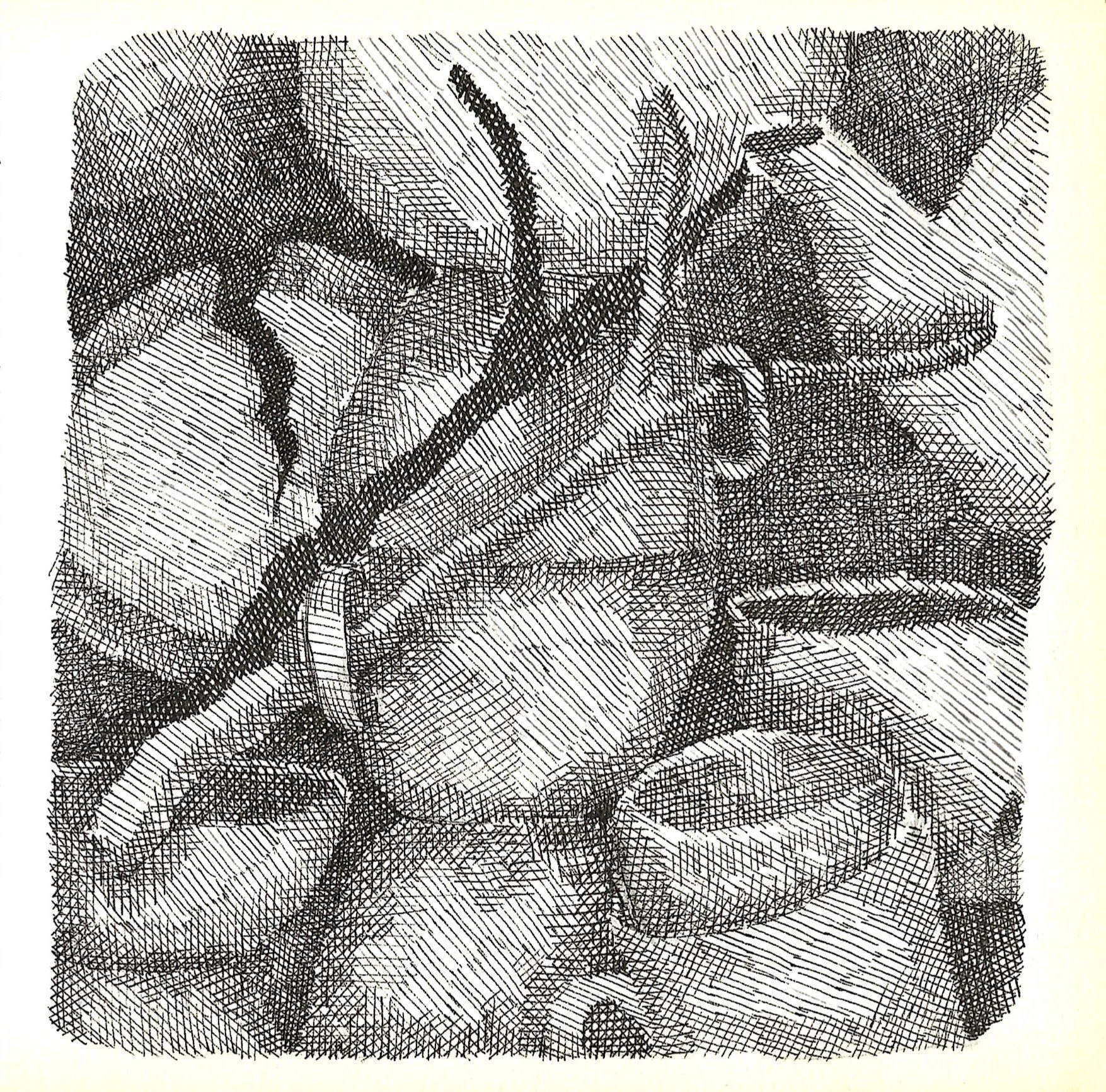 tazas, ramas y casas (detalle2).jpg