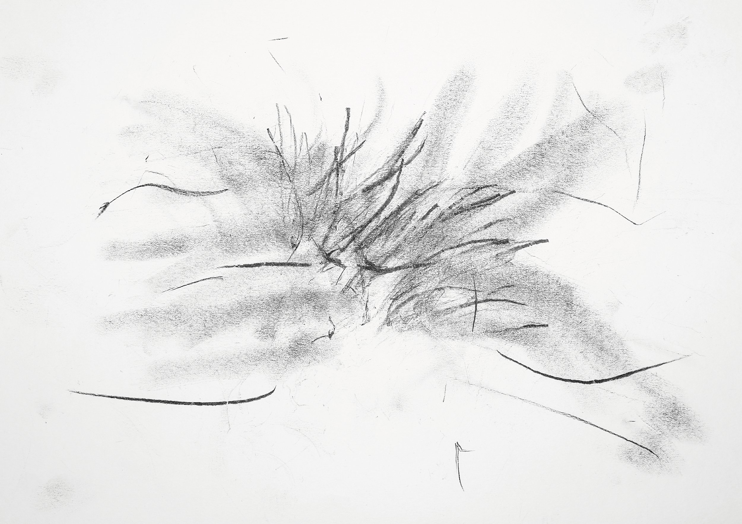 Oreja, lengua, mano I- VALERIA ROVATTI