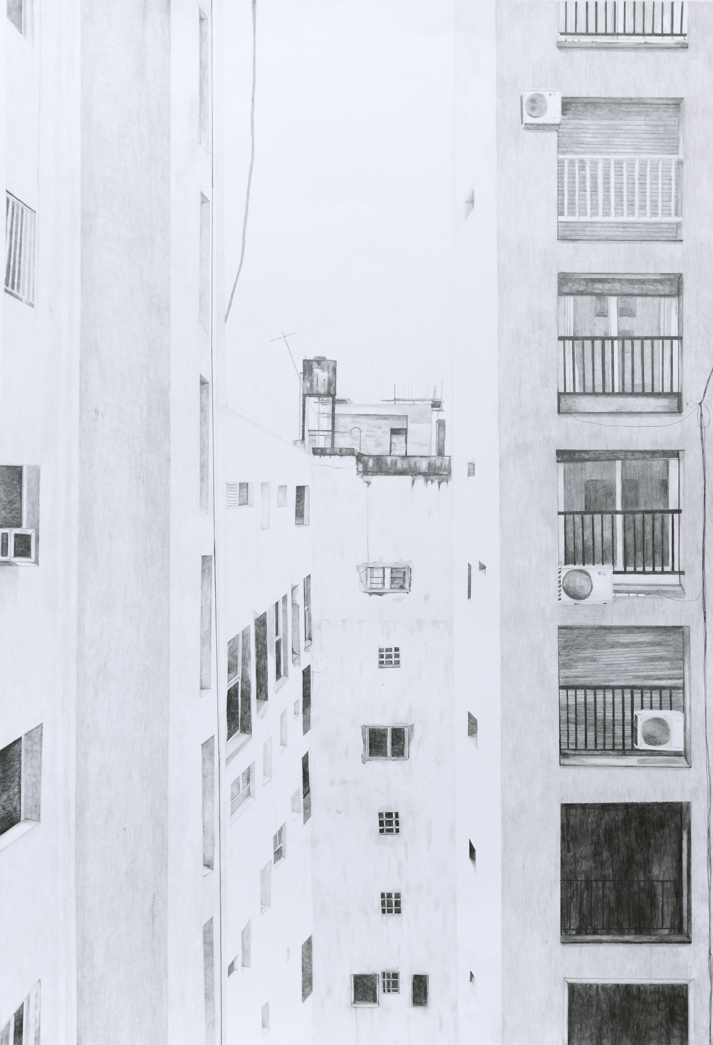 Pulmón - JULIETA VELA
