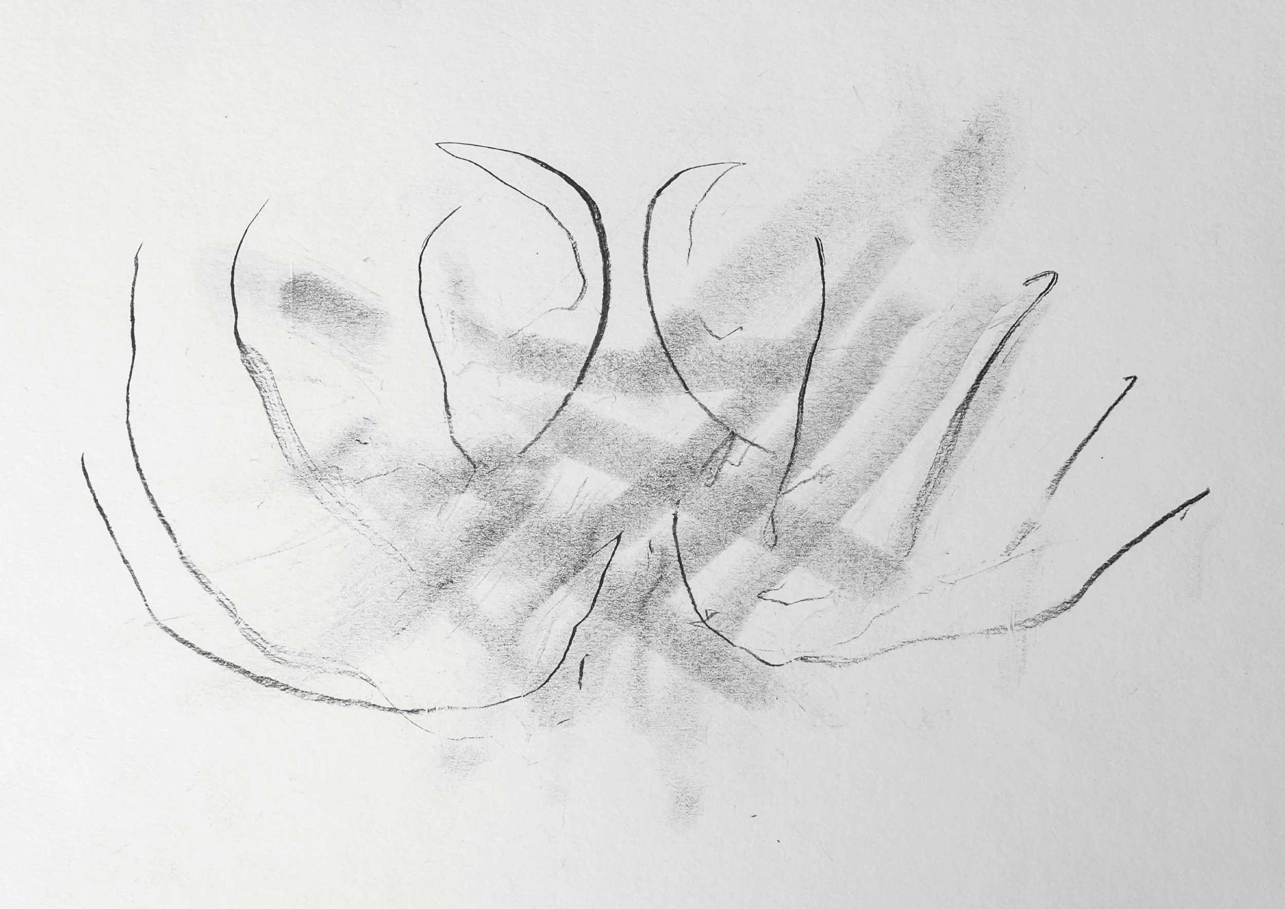 Oreja, lengua, mano VII - VALERIA ROVATTI