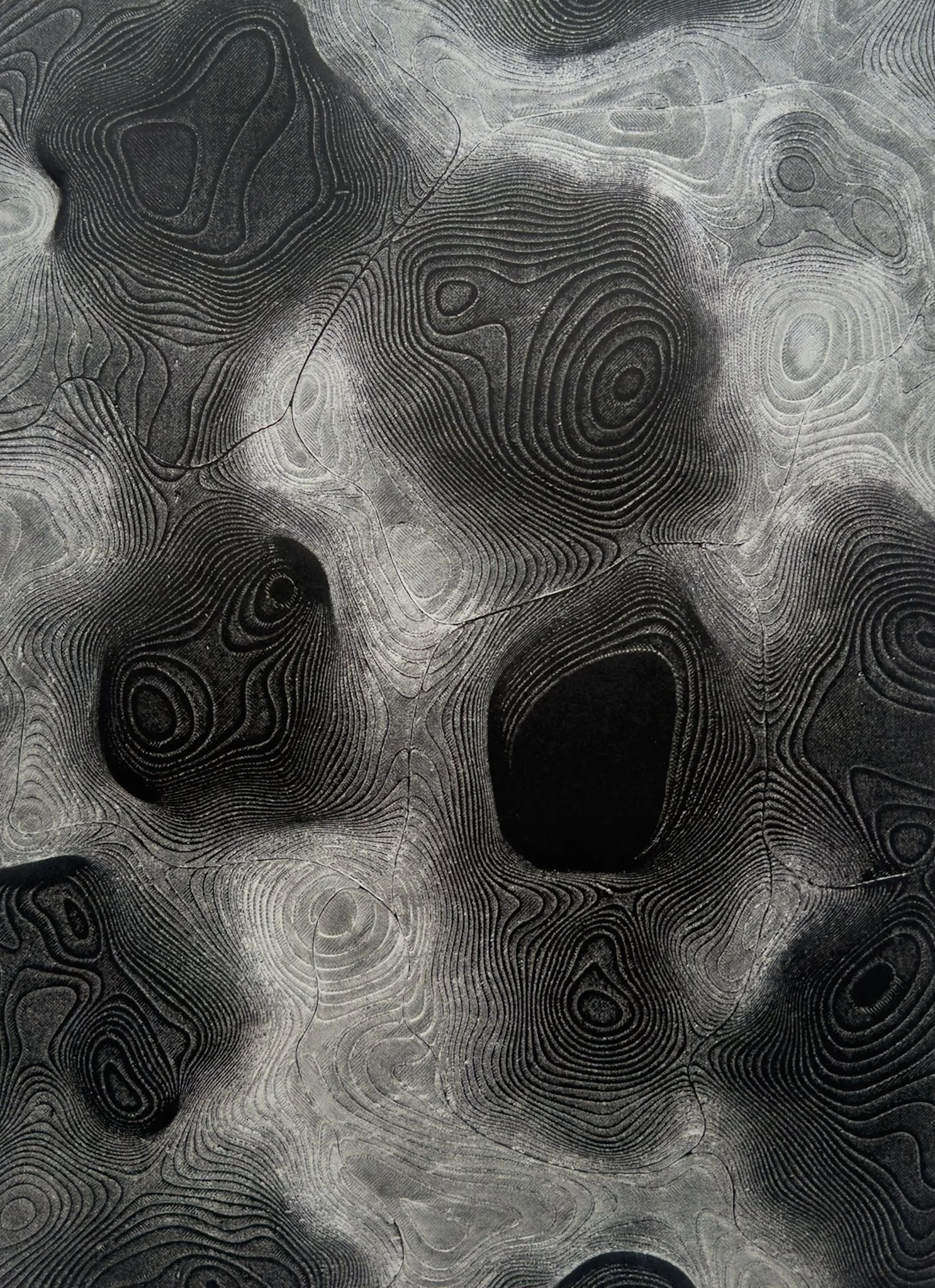 Topografías de un desvío - SANTIAGO CRESPO