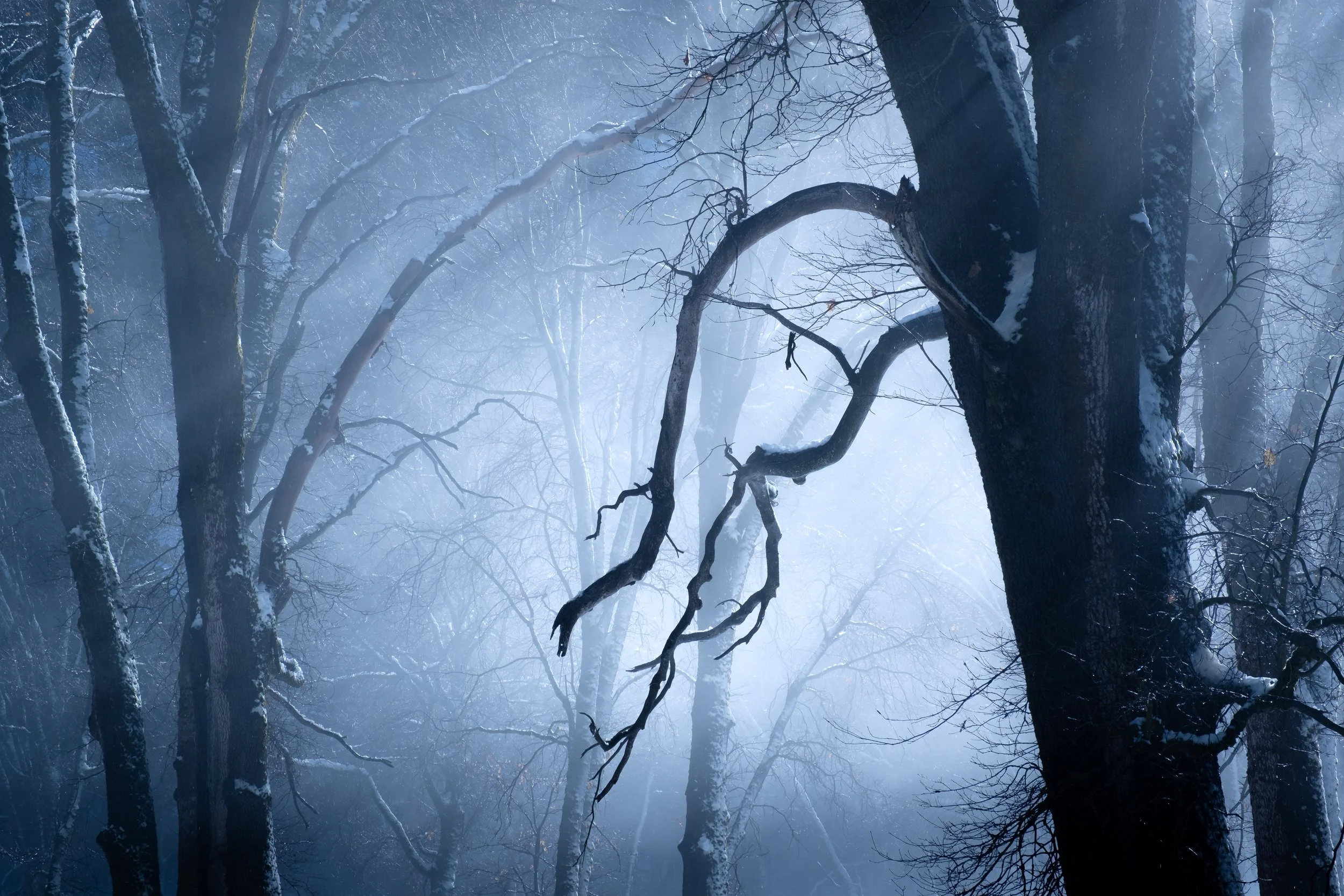 yosemite national park, 2024