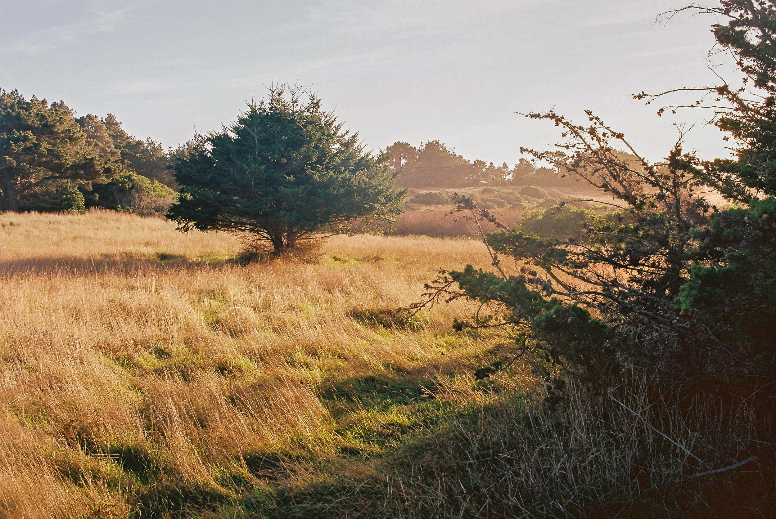 point cabrillo, 2023